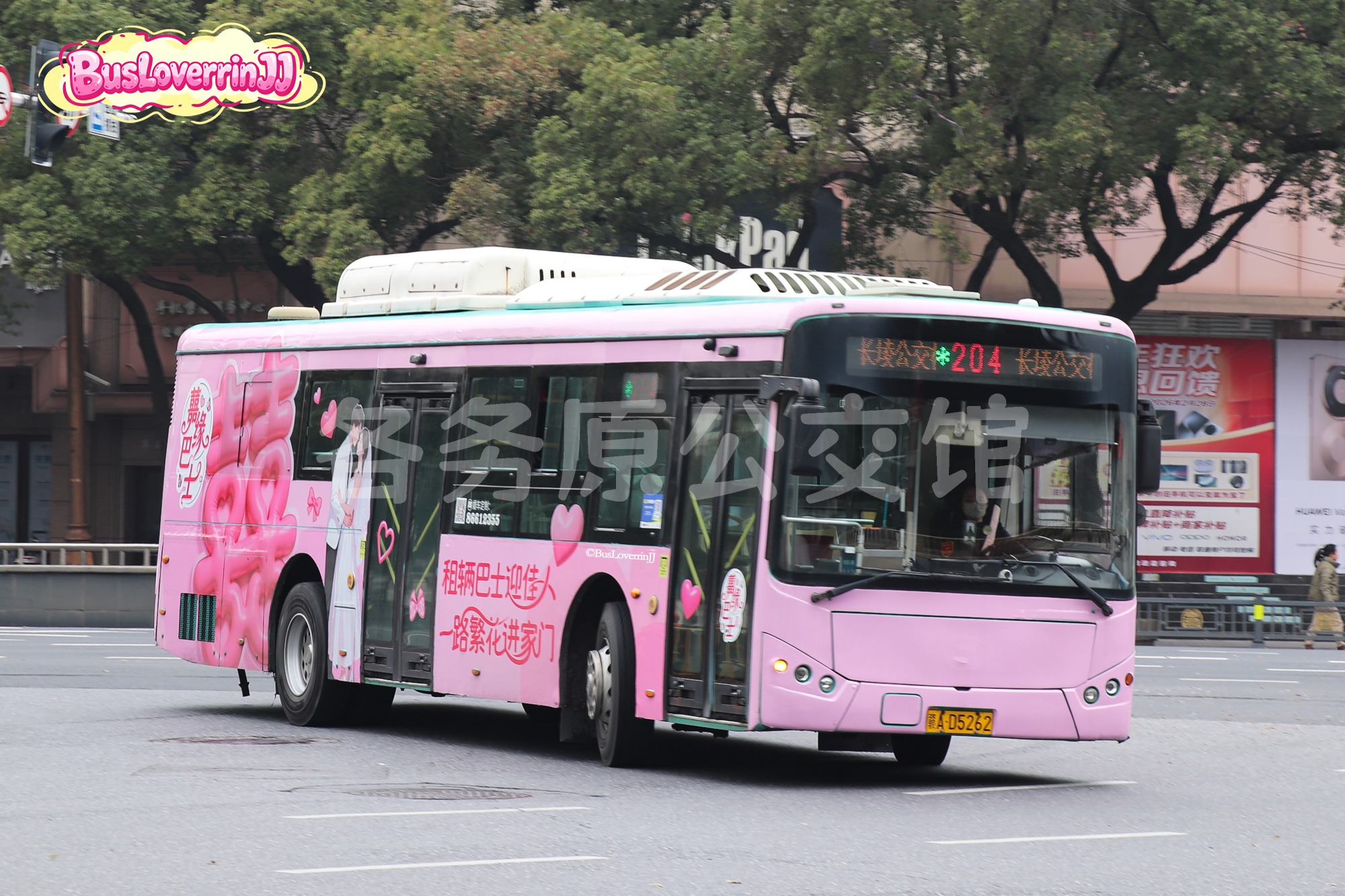 204路【5-262 原117/169/258/878/飞行大会专线车】（囍缘巴士 [租辆巴士迎家人 一路繁花进家门]）