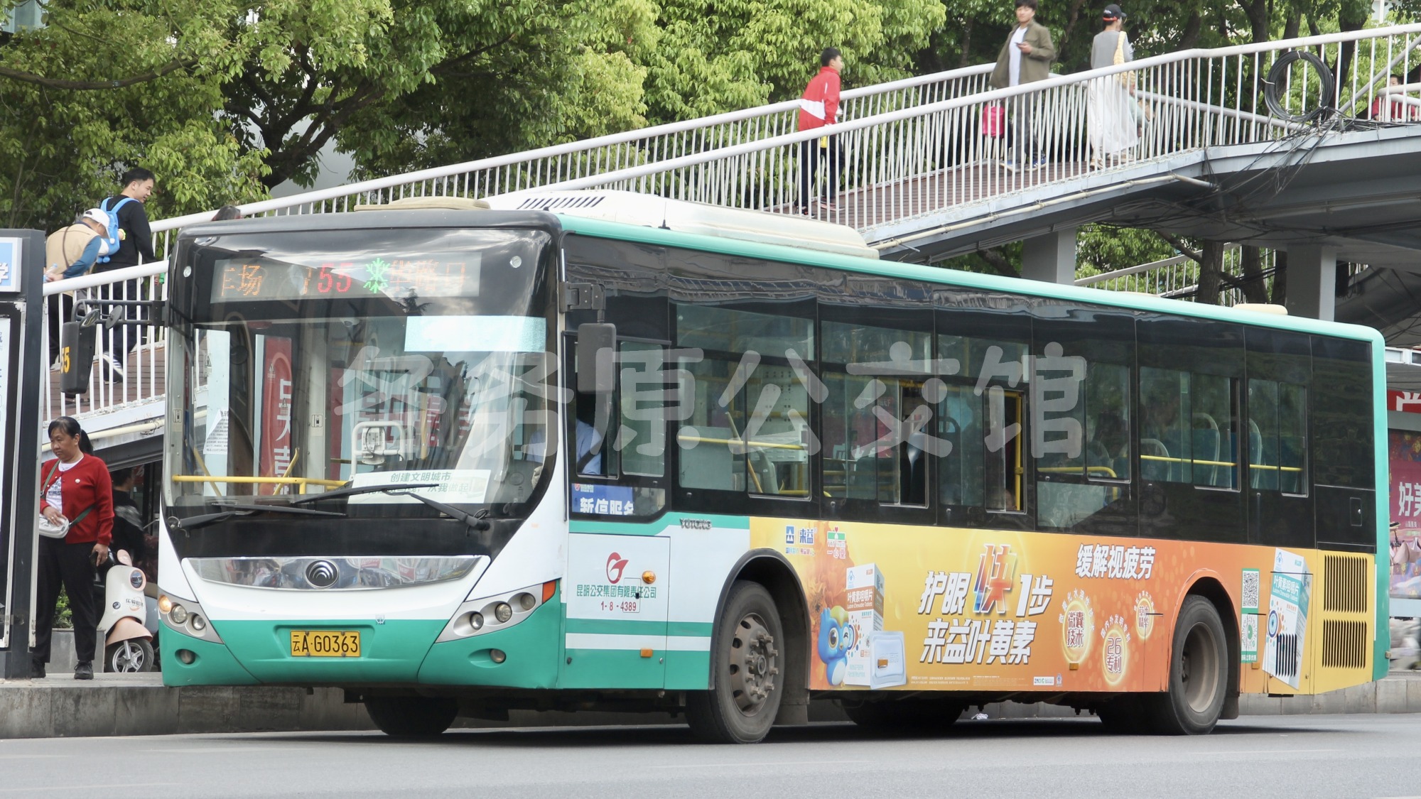热门图片