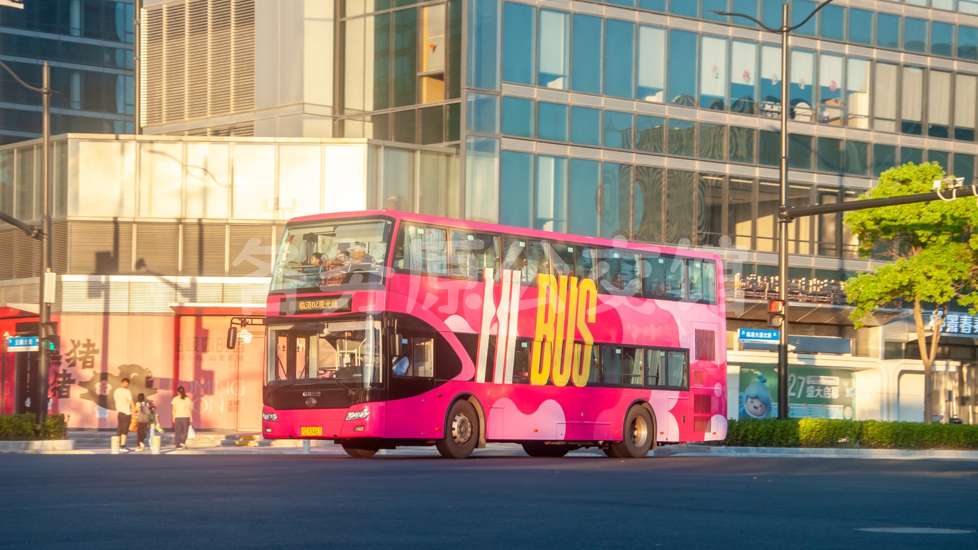 ZK6116HGS2图片