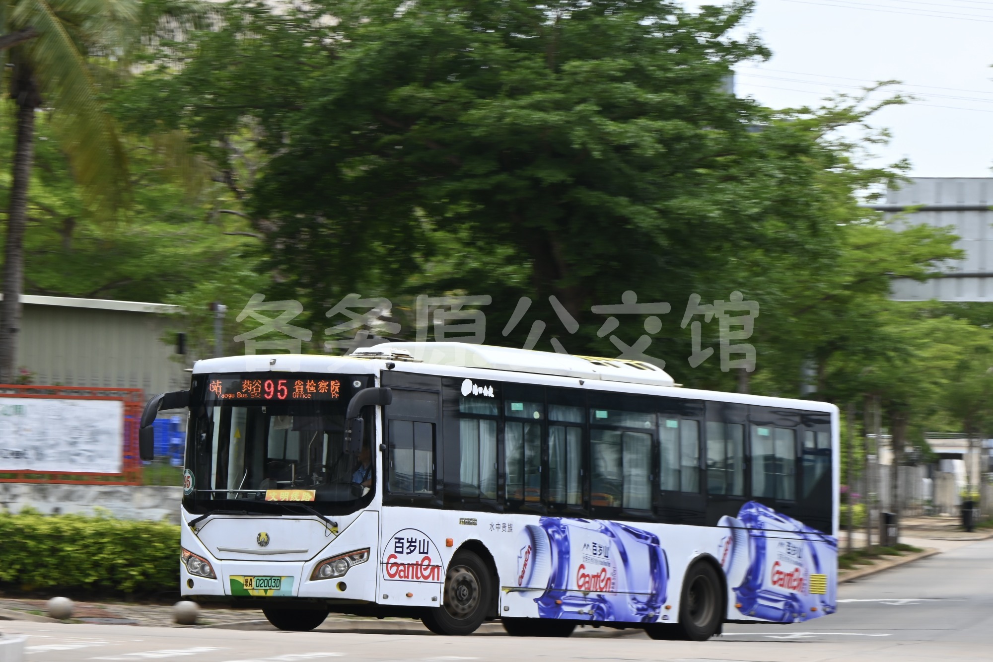 热门图片