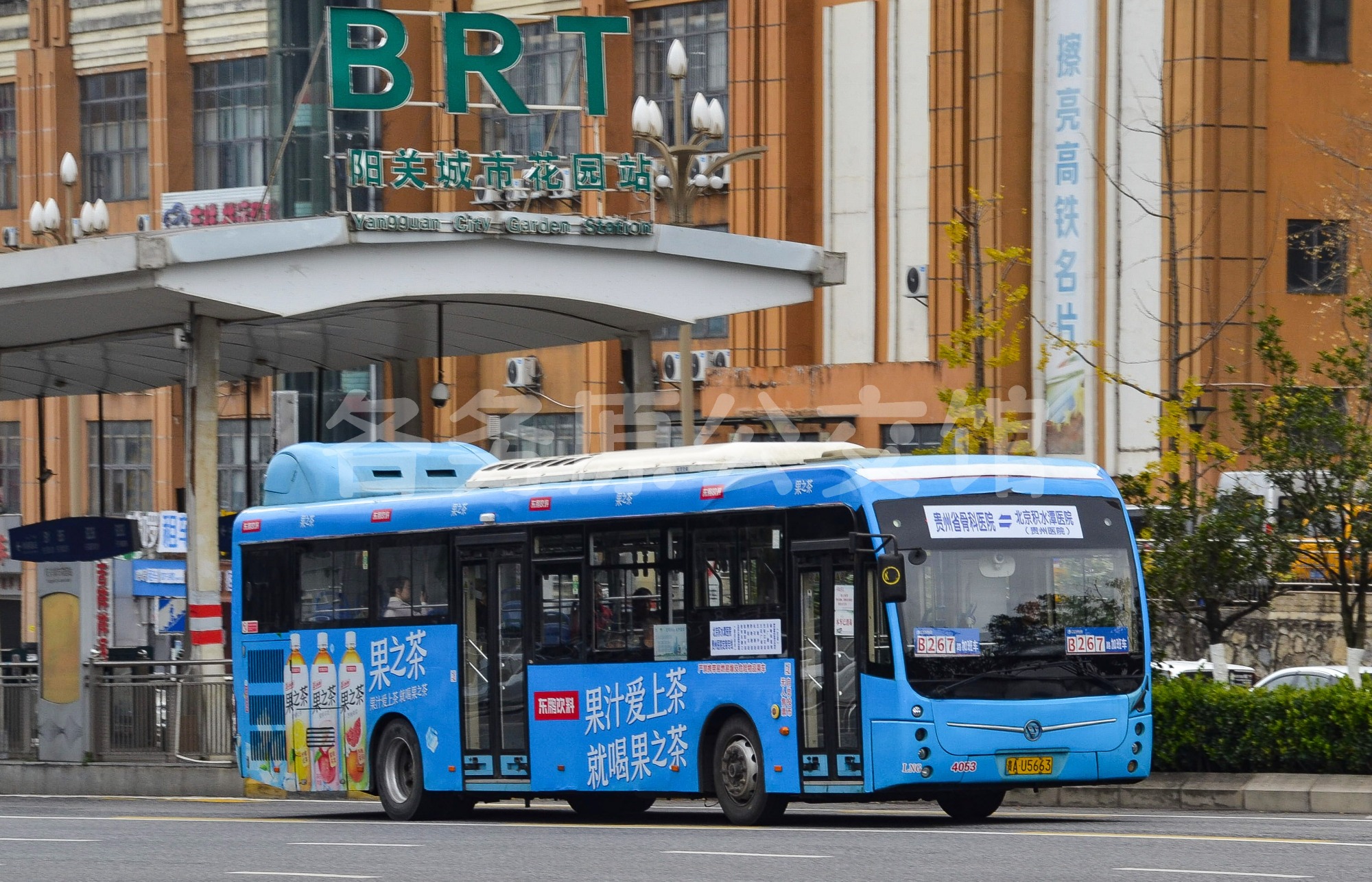 热门图片