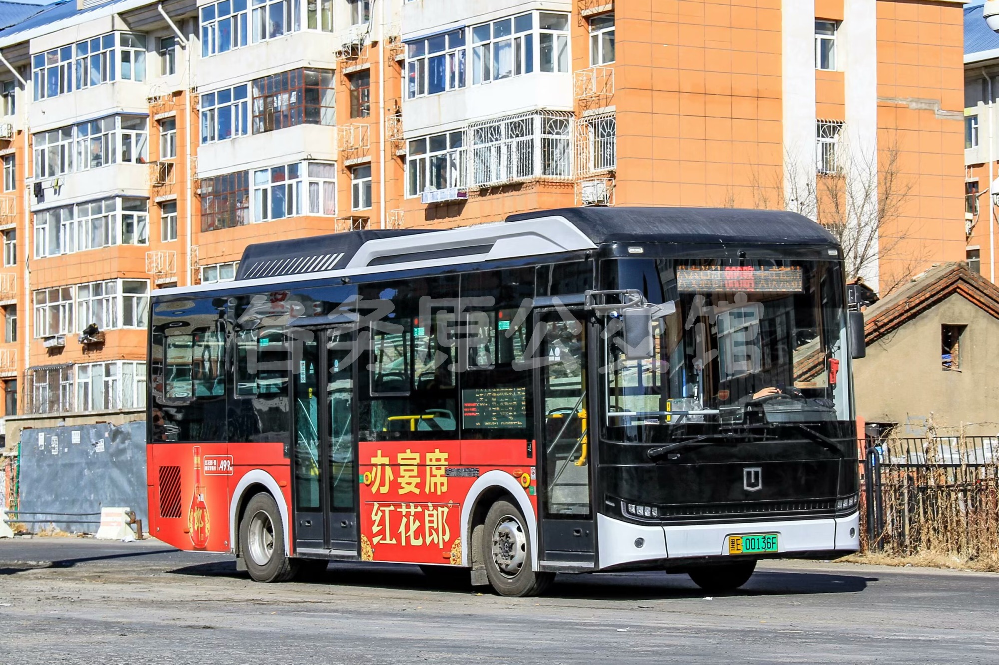 未命名图片
