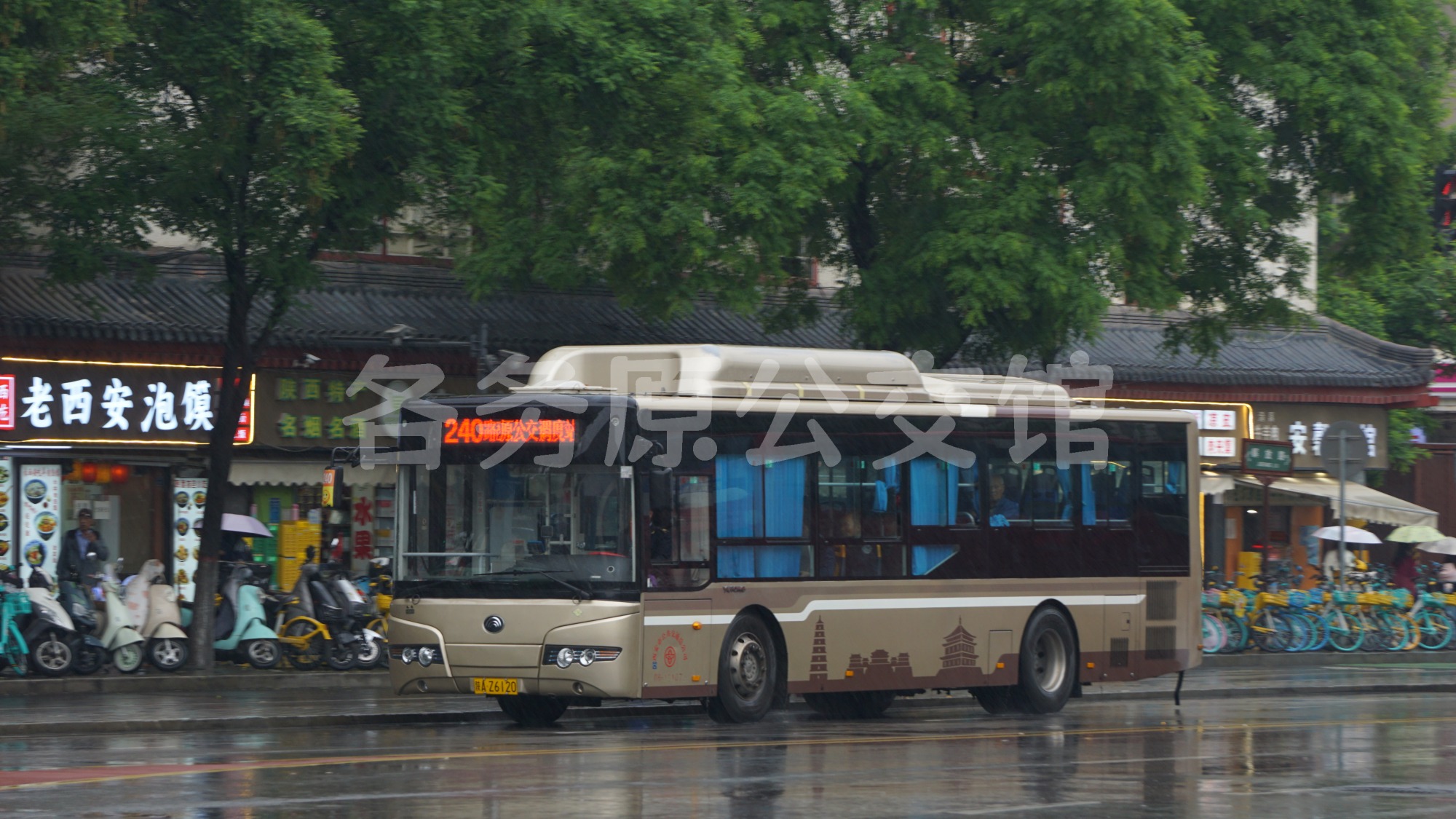 未命名图片