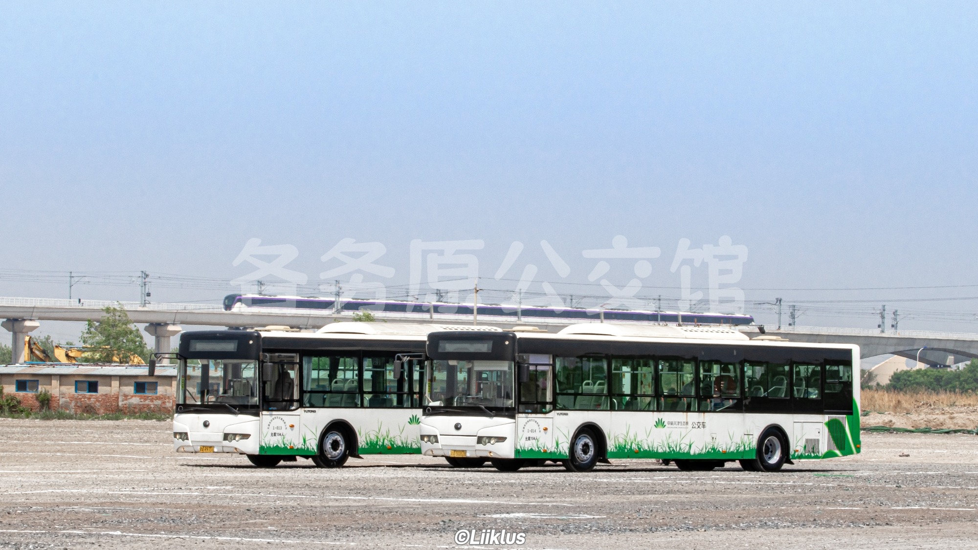 热门图片