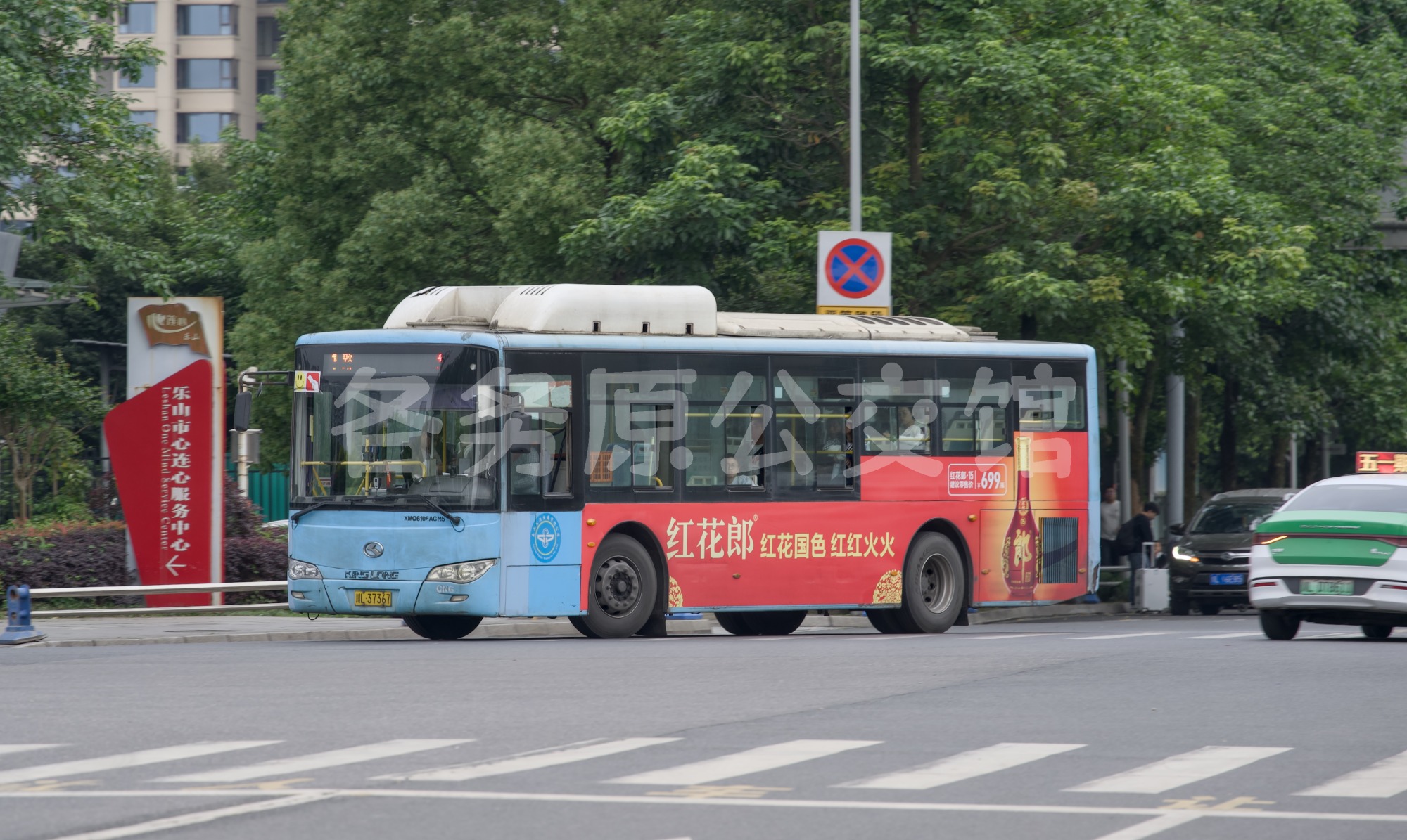 未命名图片