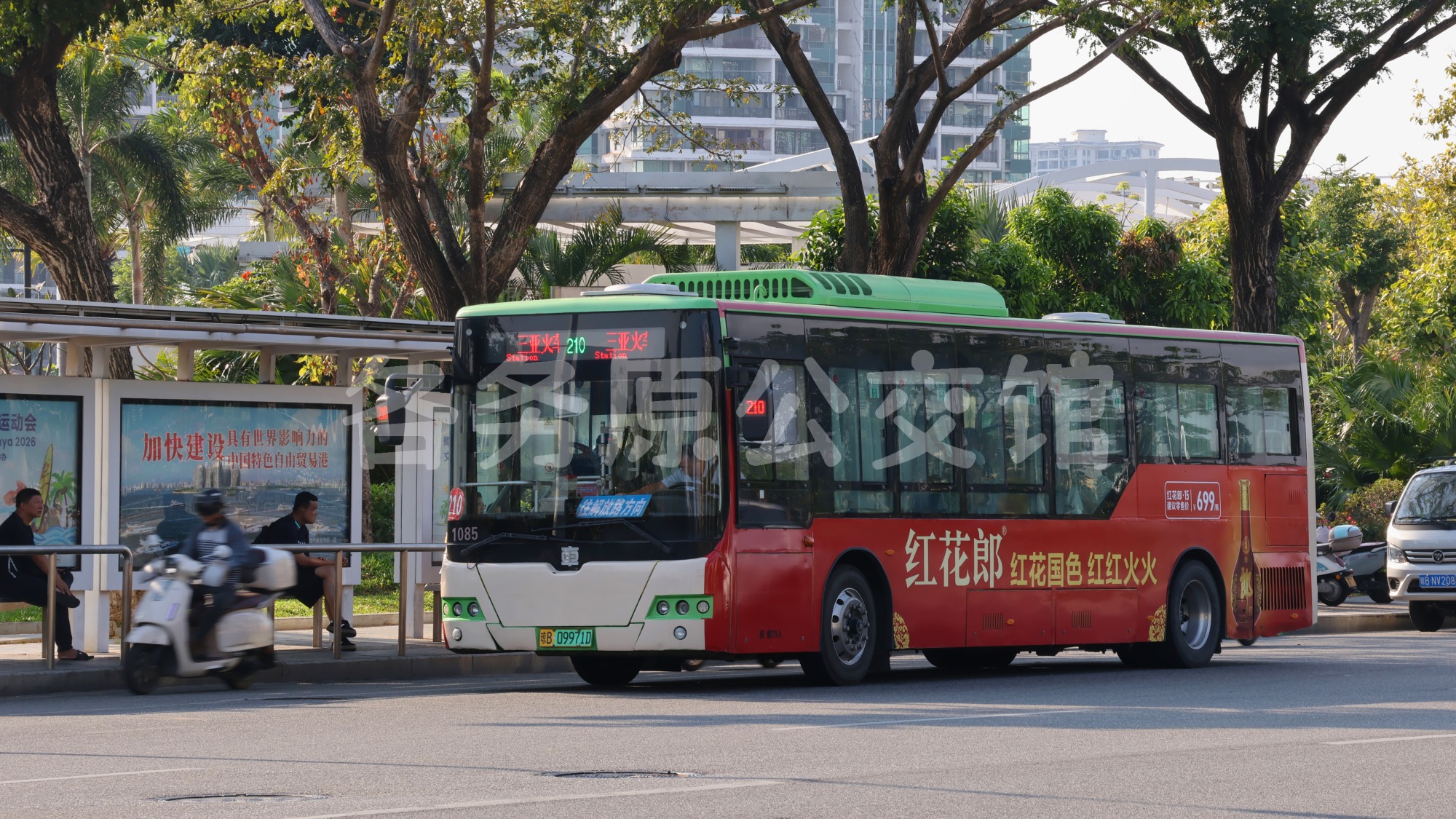 热门图片
