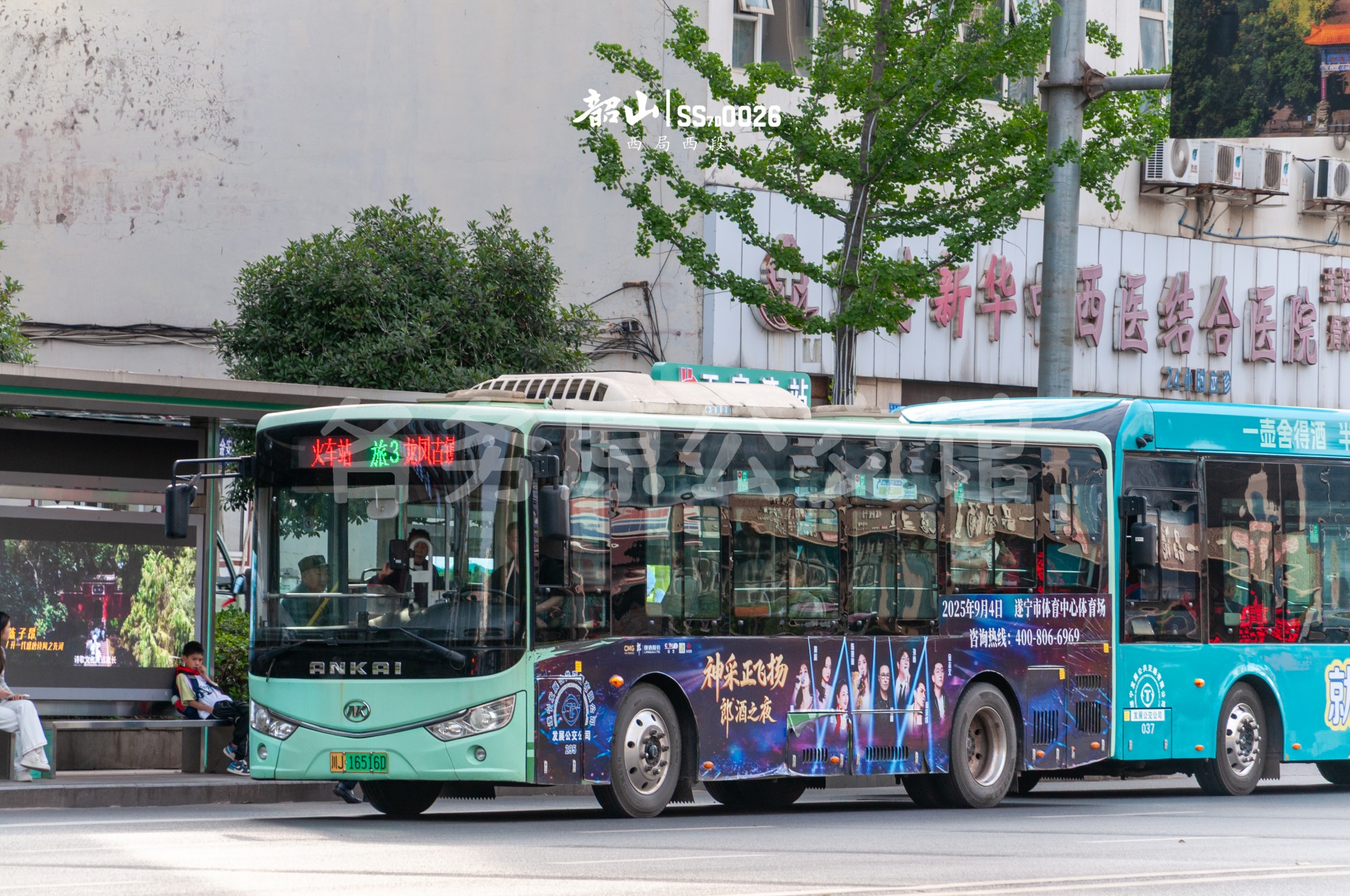 热门图片