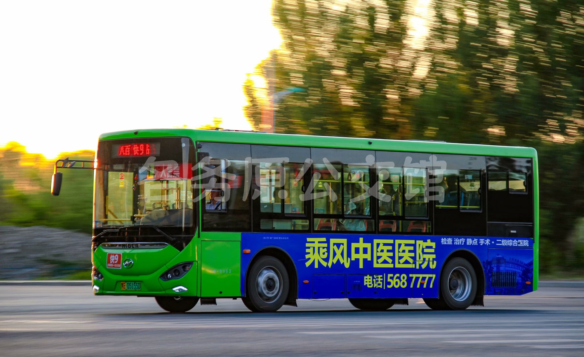 未命名图片