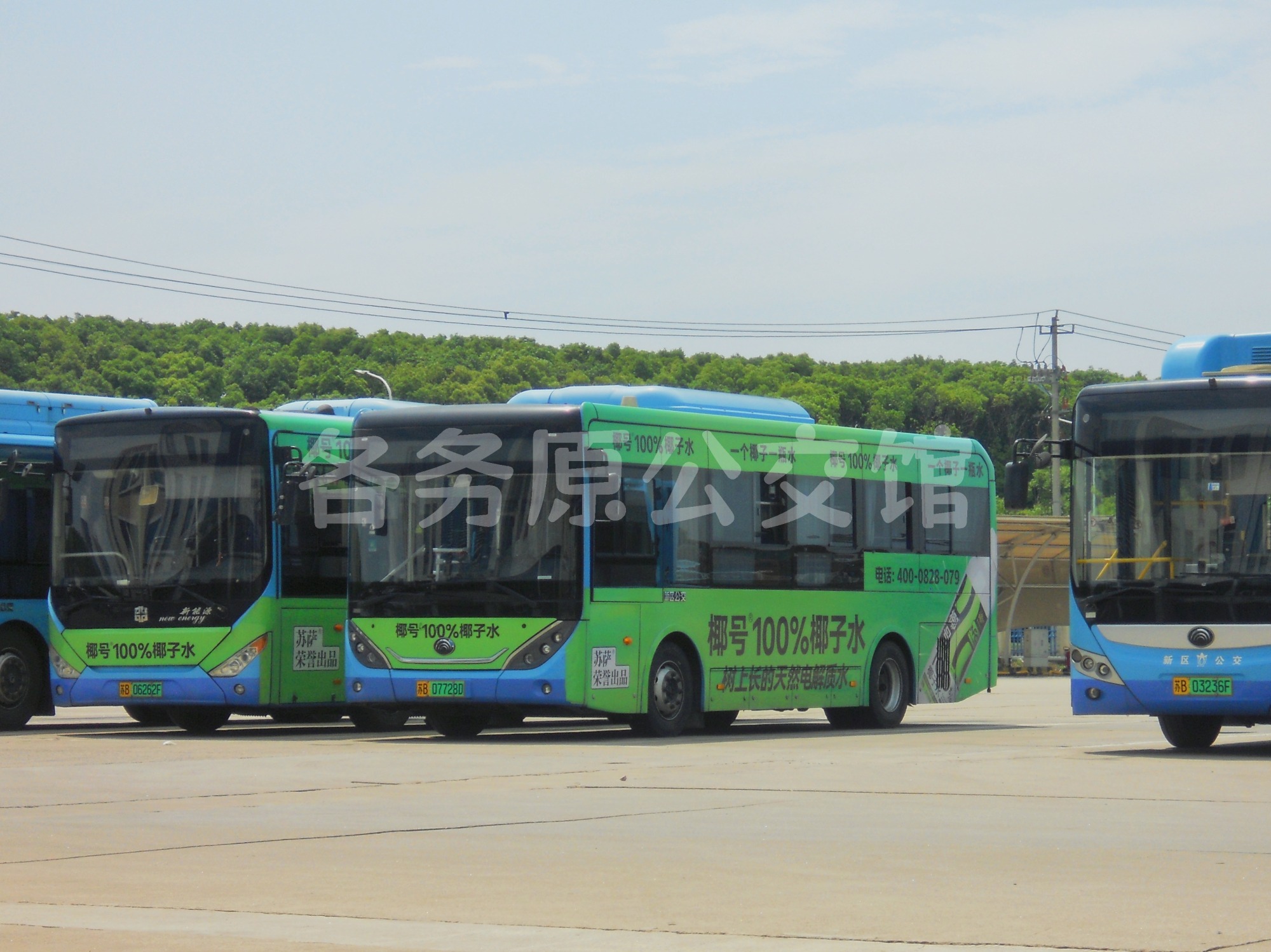 新区公交 - ZK6856BEVG4