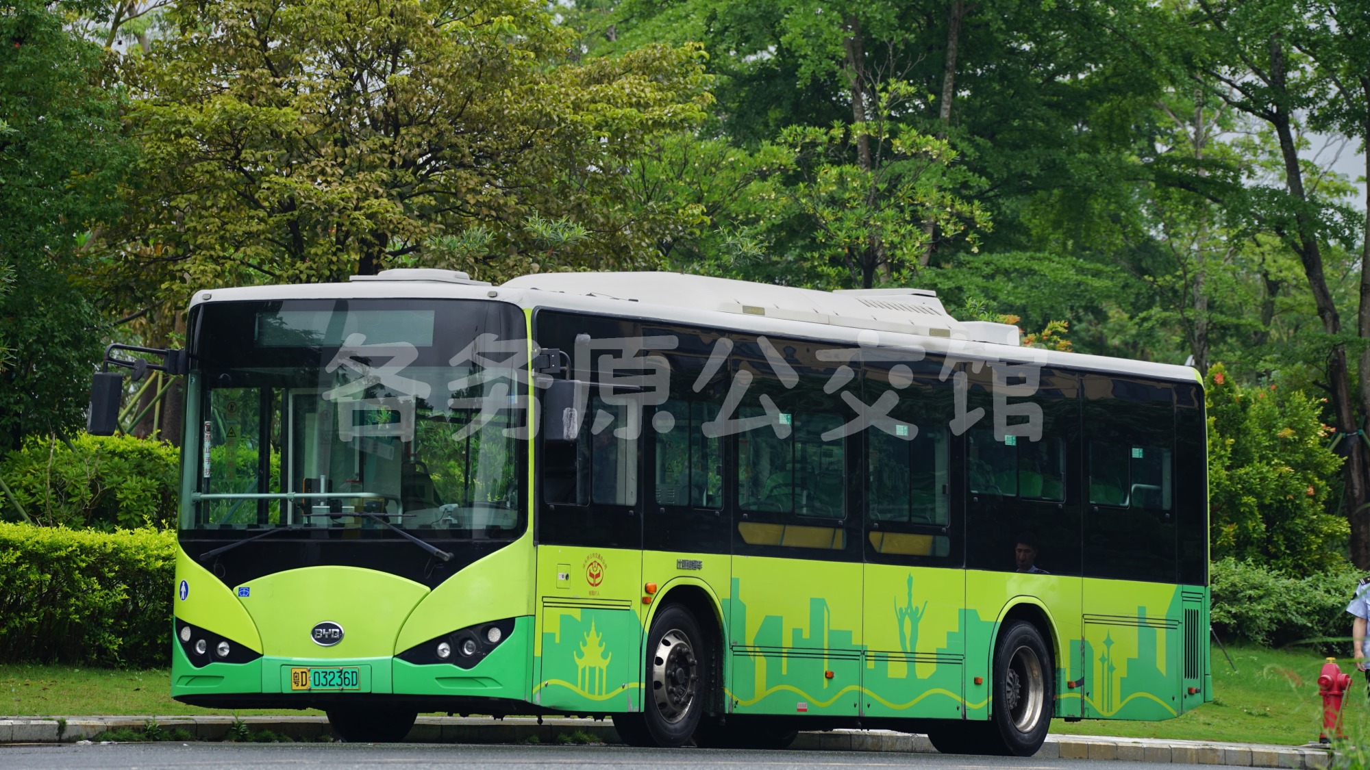 热门图片