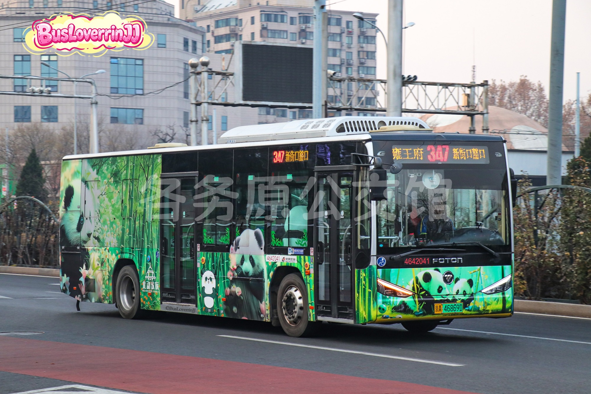 347路【42041 原663路】（北动家族）