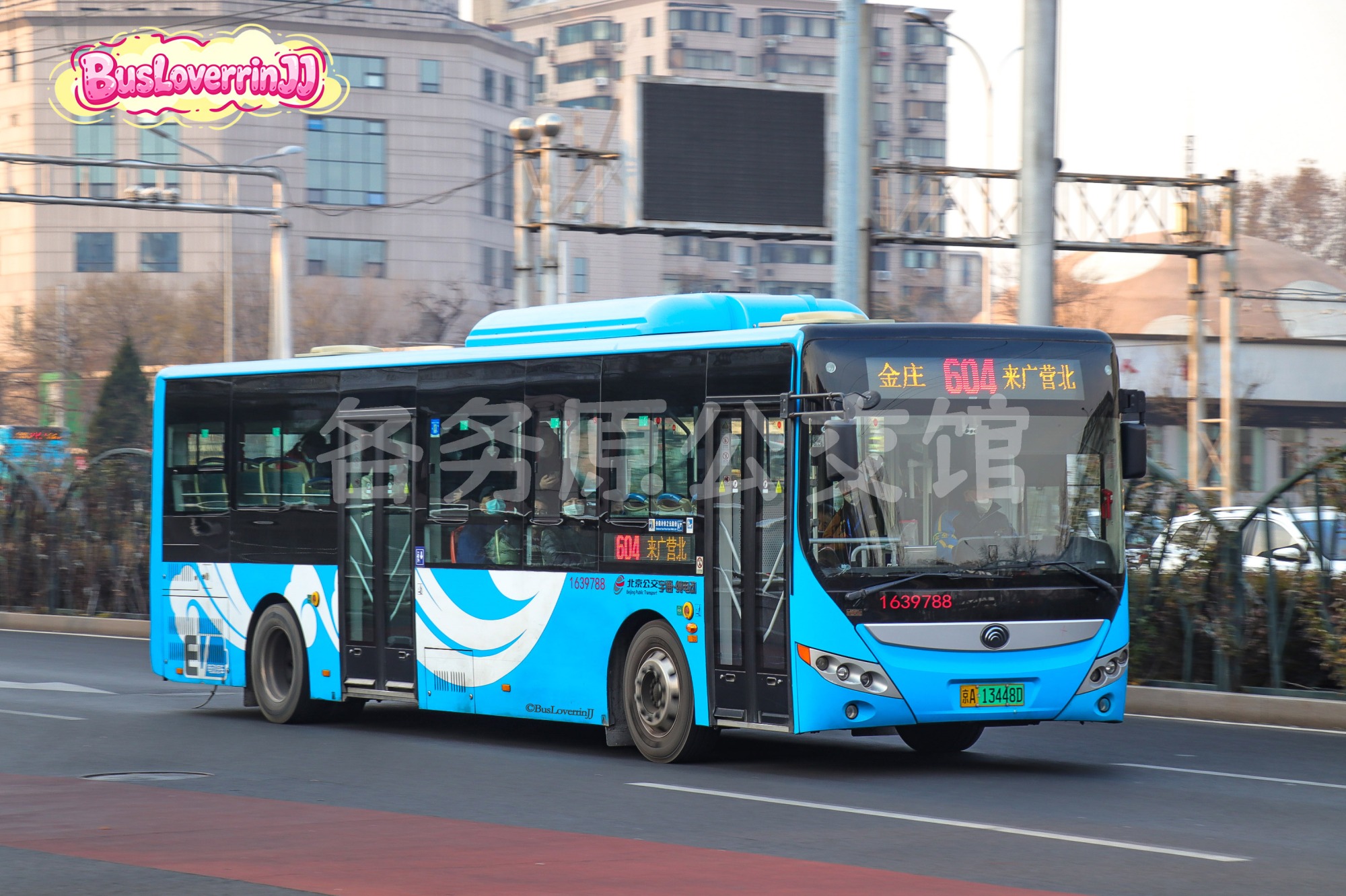 604路【39788】（原色）