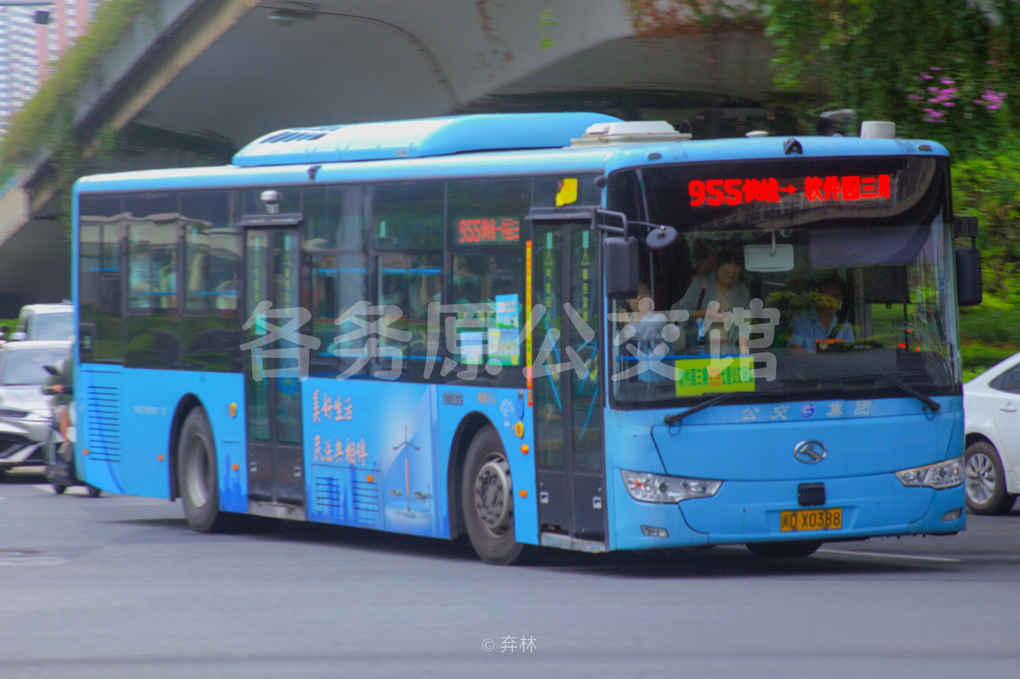热门图片