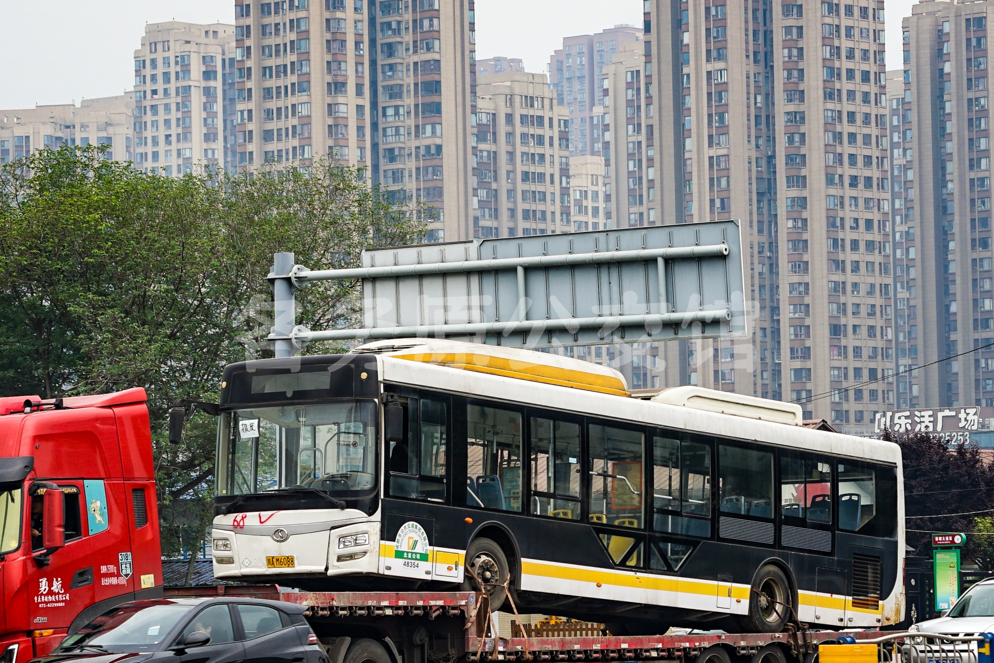 热门图片
