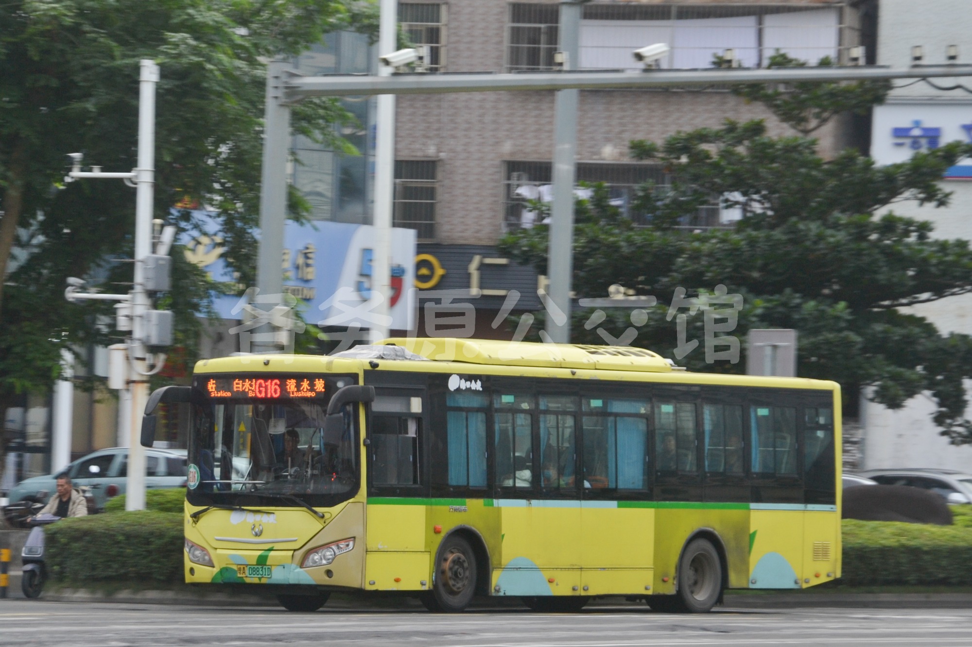 热门图片
