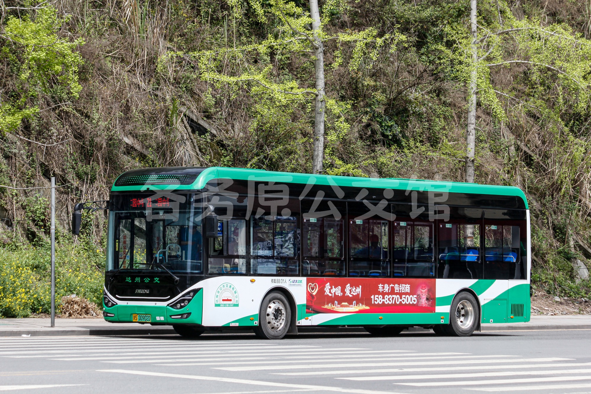 热门图片