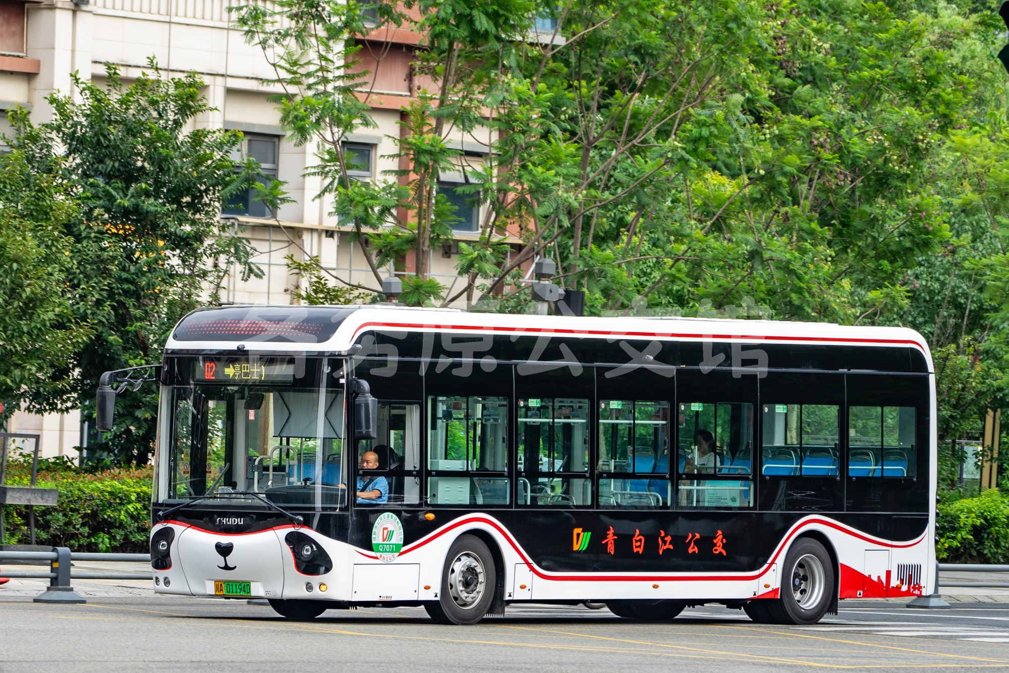 未命名图片