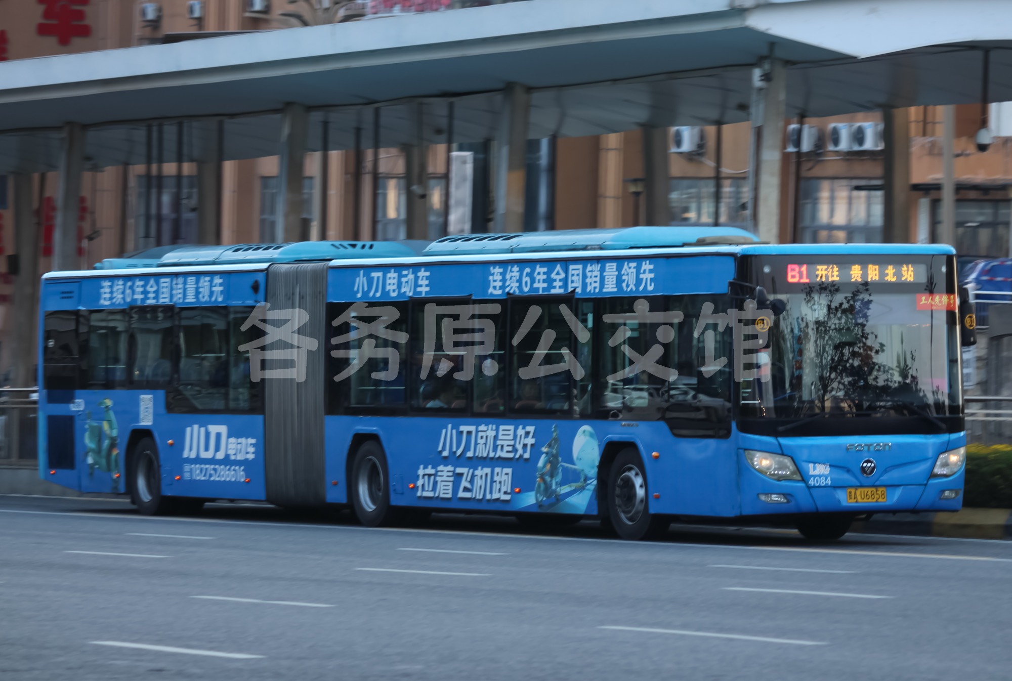 热门图片
