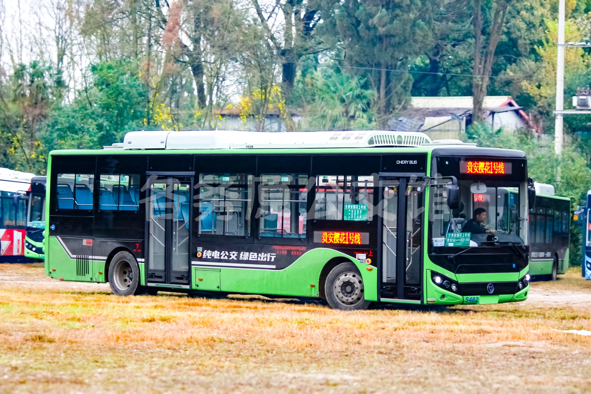 WD6117BEVG03图片