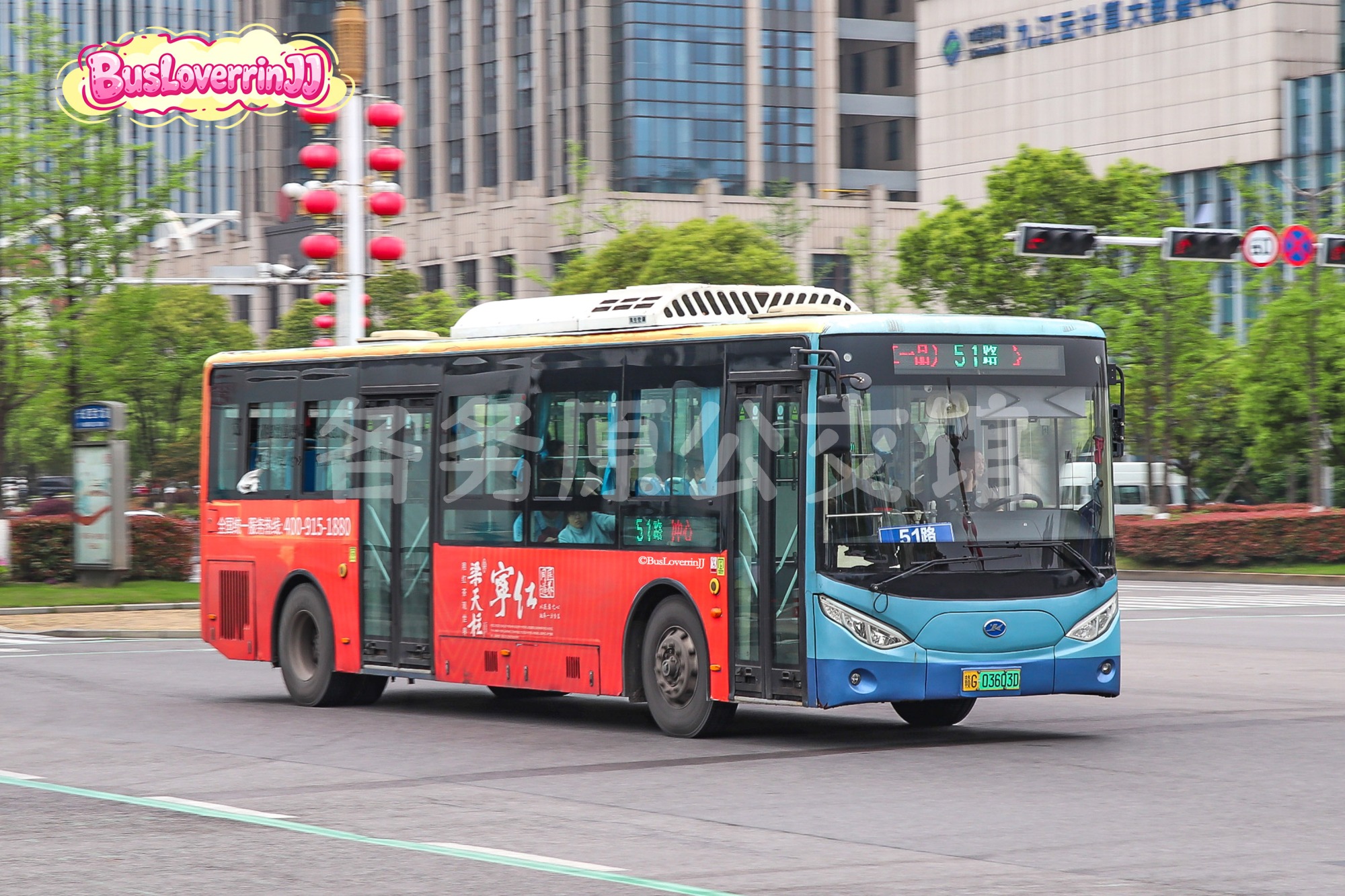 51路机动【D066 原15/102/103/104路】（梁天柱宁红茶）