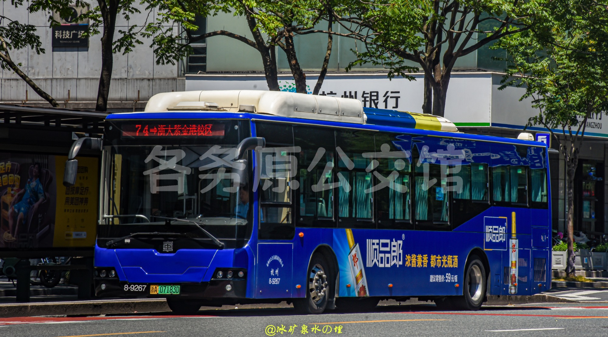 热门图片