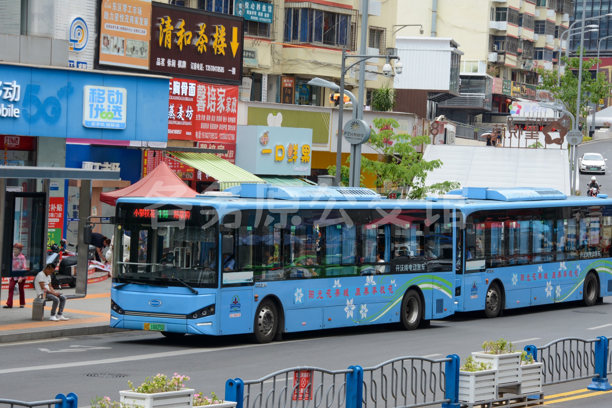 NJL6100EV13图片