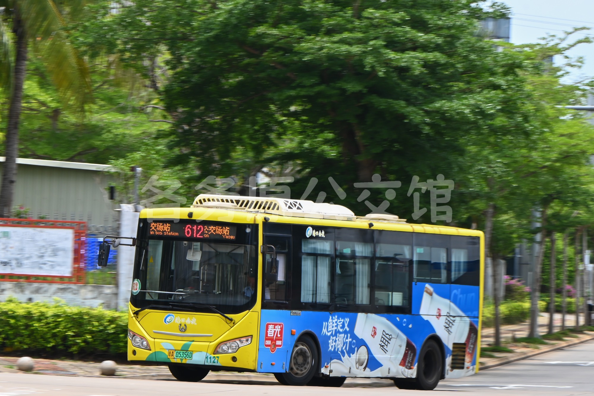 热门图片