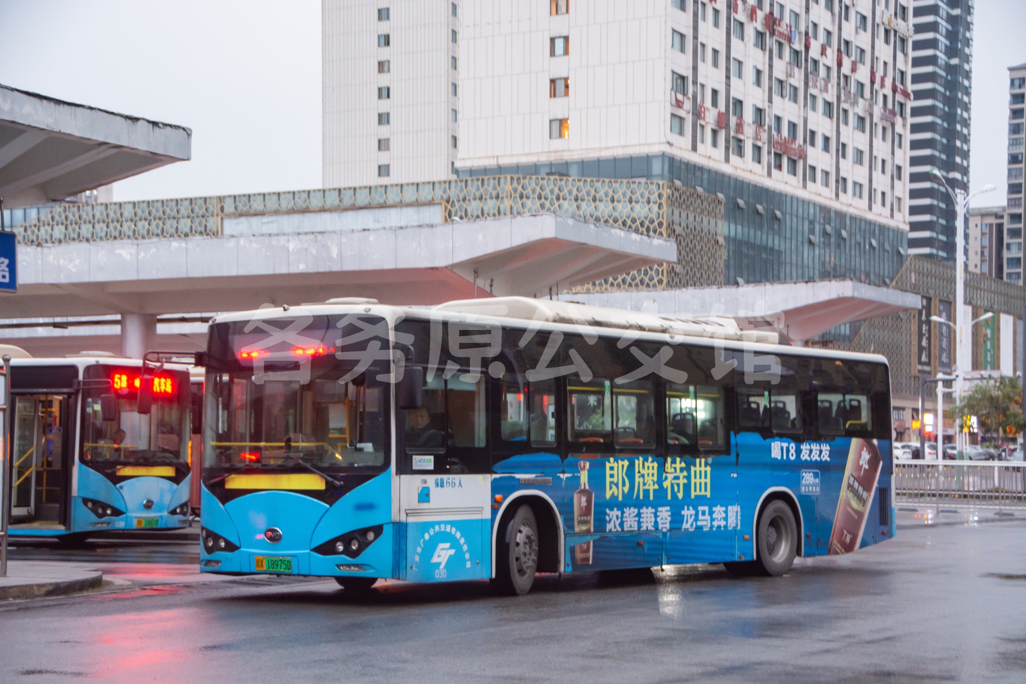 BYD6100LGEV3图片