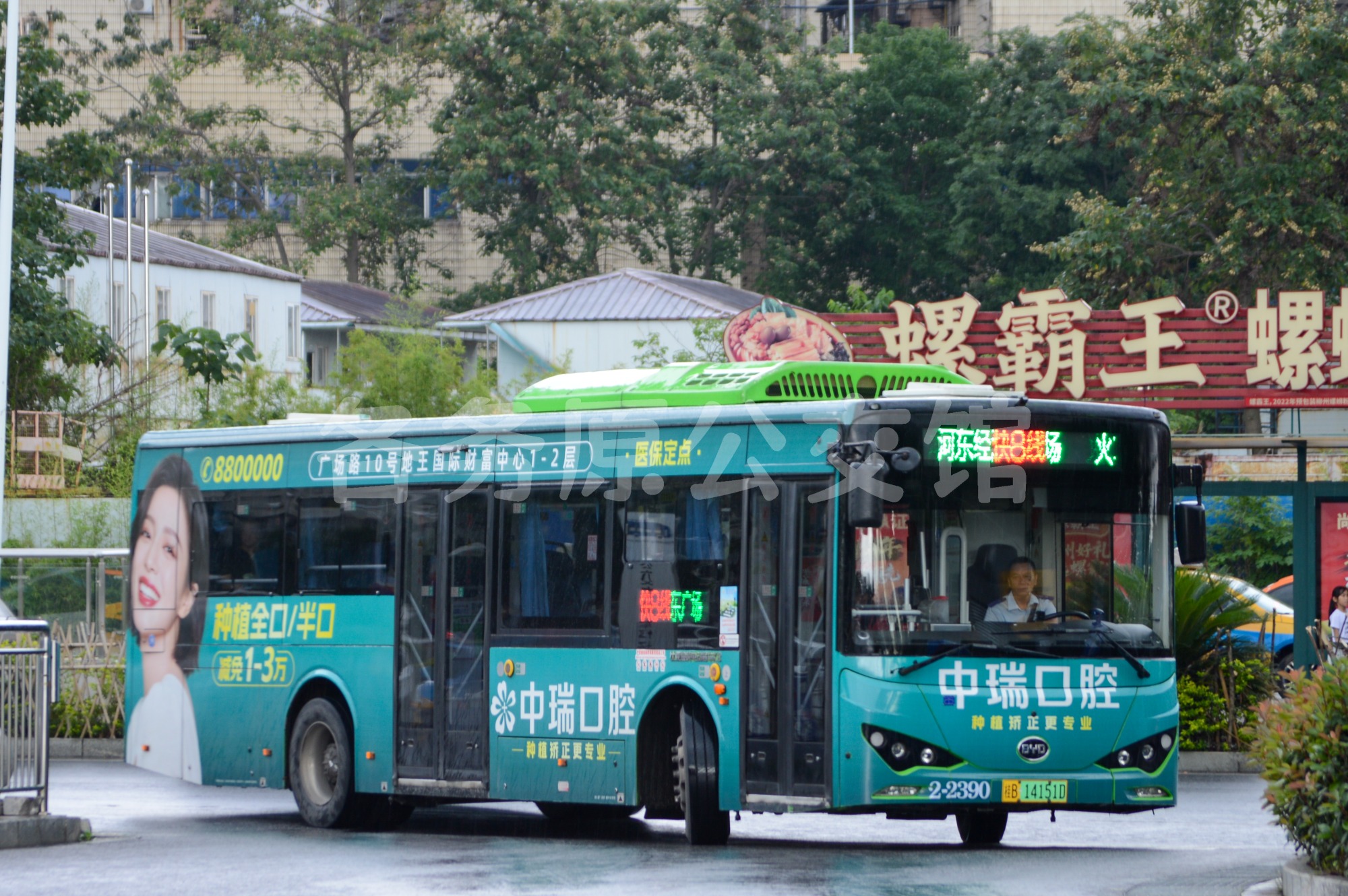 热门图片