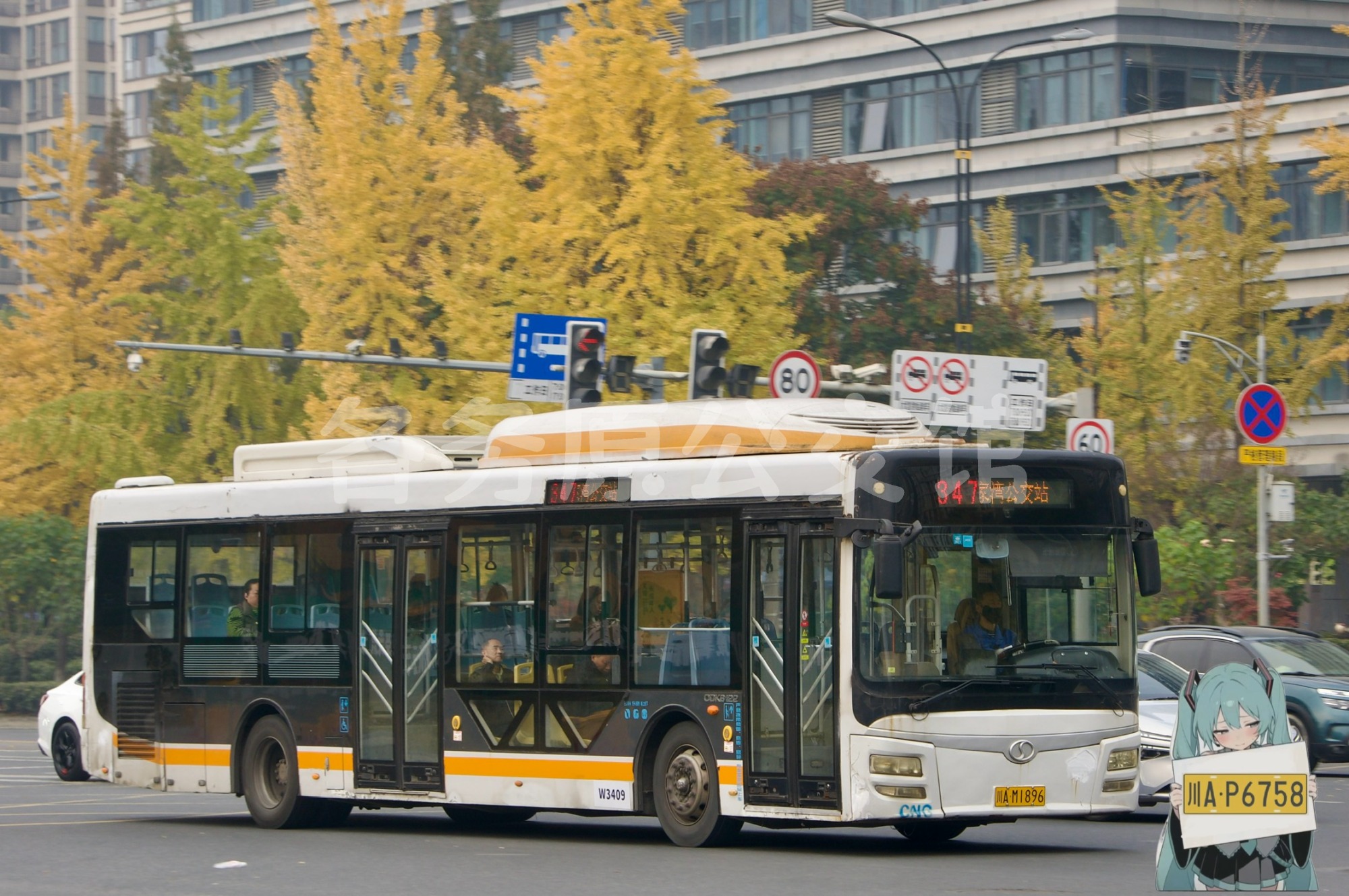 未命名图片