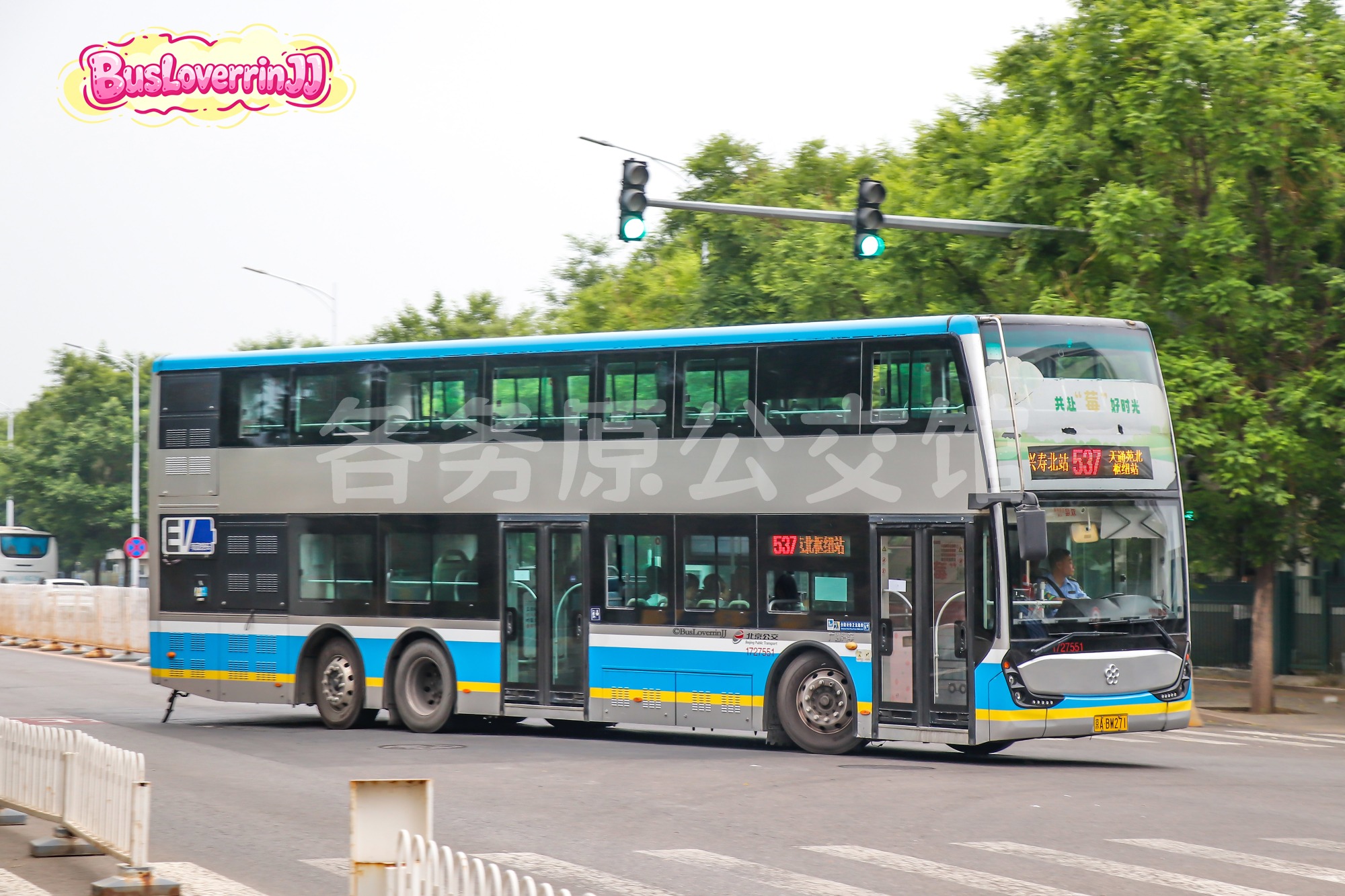 537路【27551】（原色+共赴“莓”好时光）