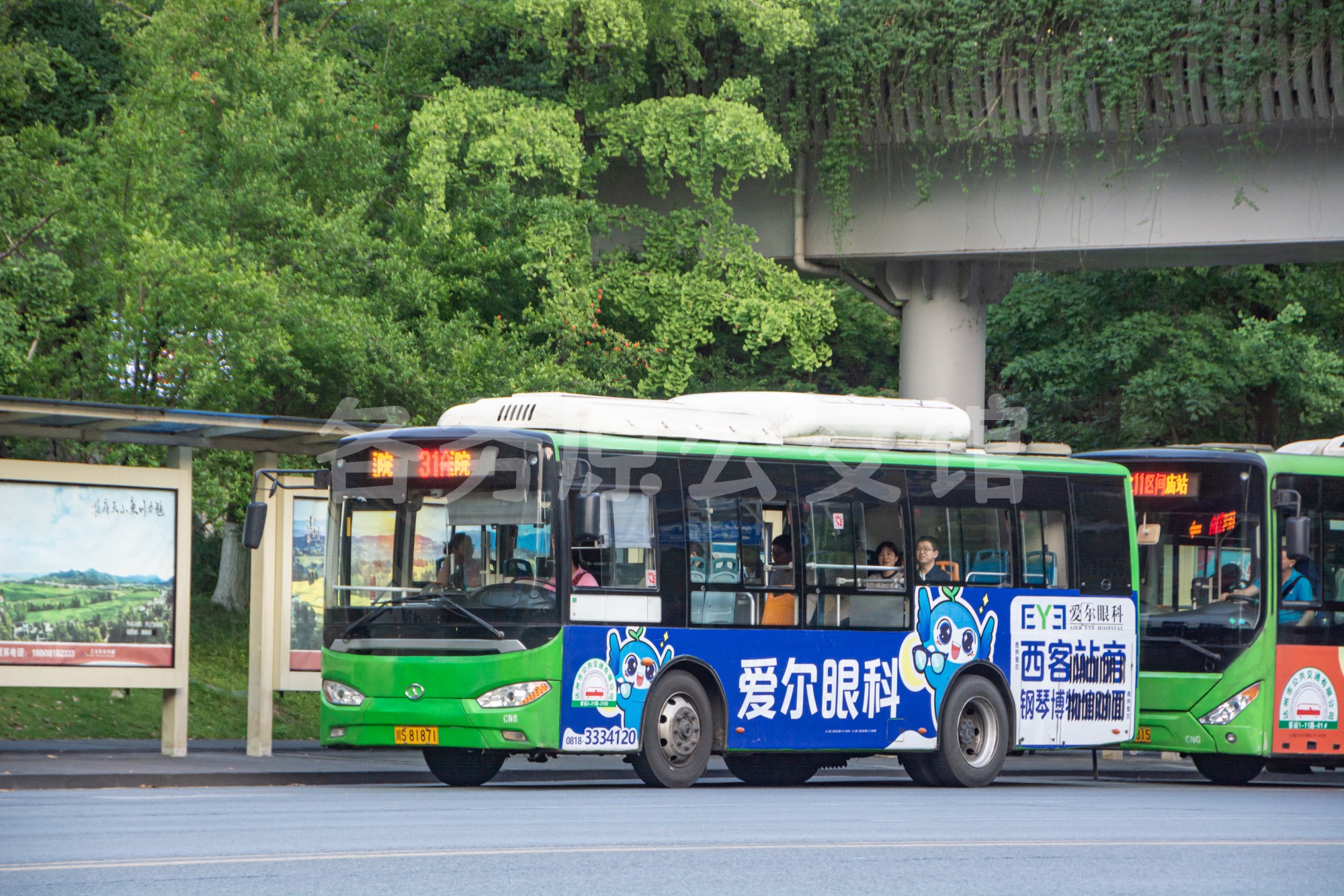 热门图片