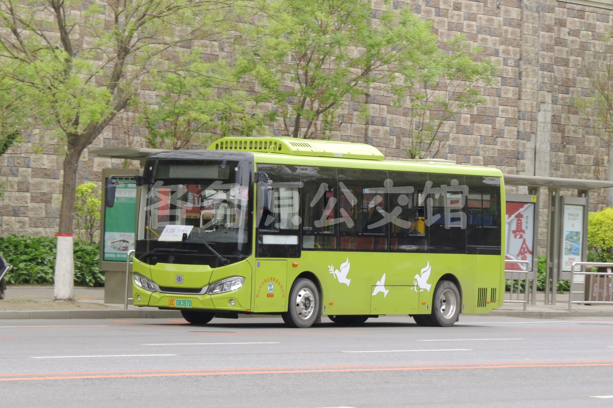图片