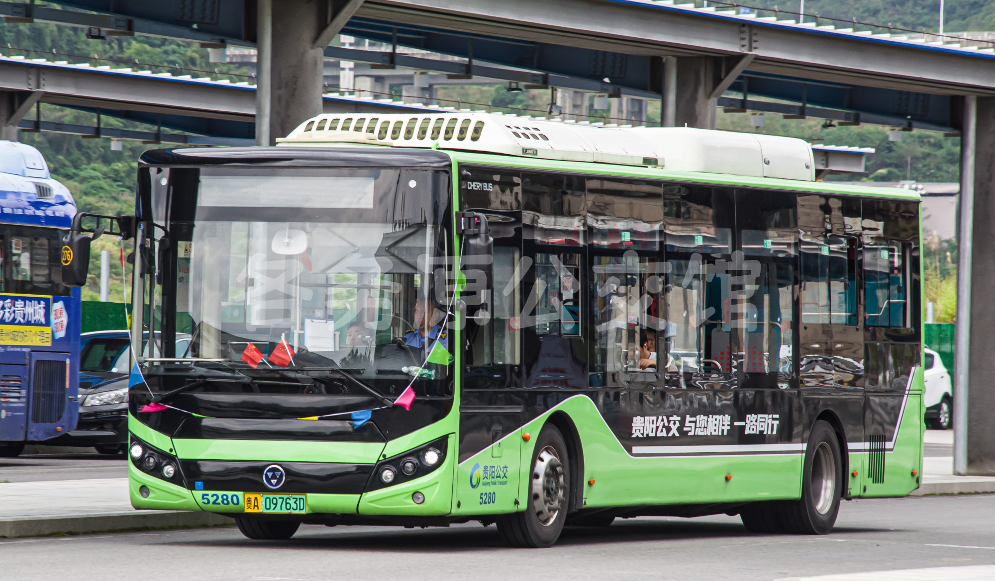 WD6117BEVG03图片