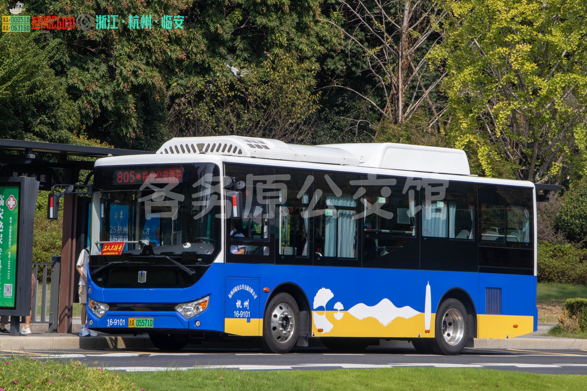 临安公交 - DNC6850BEVG11