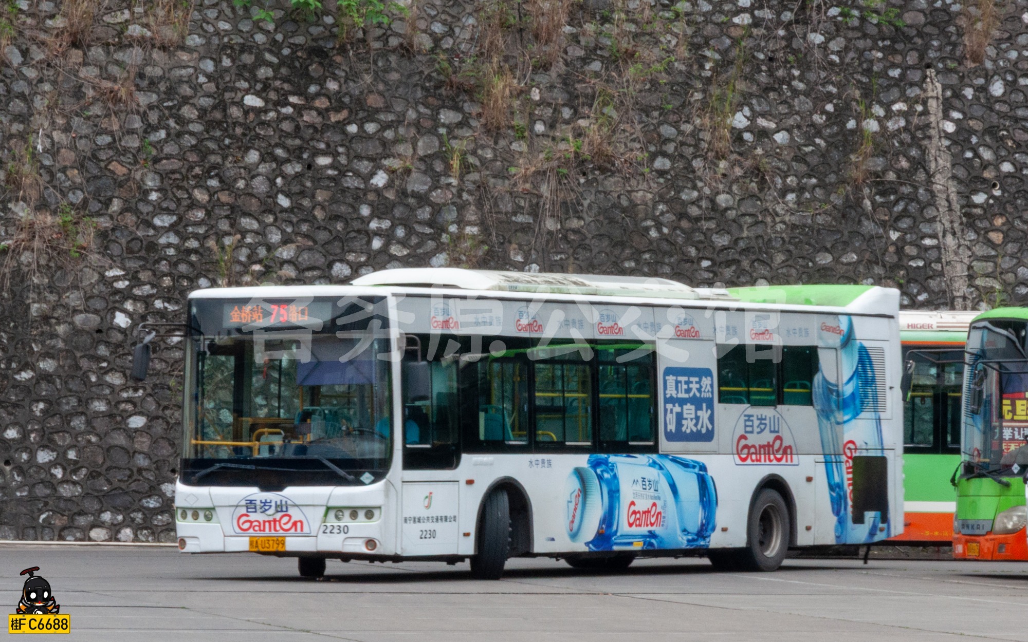 热门图片