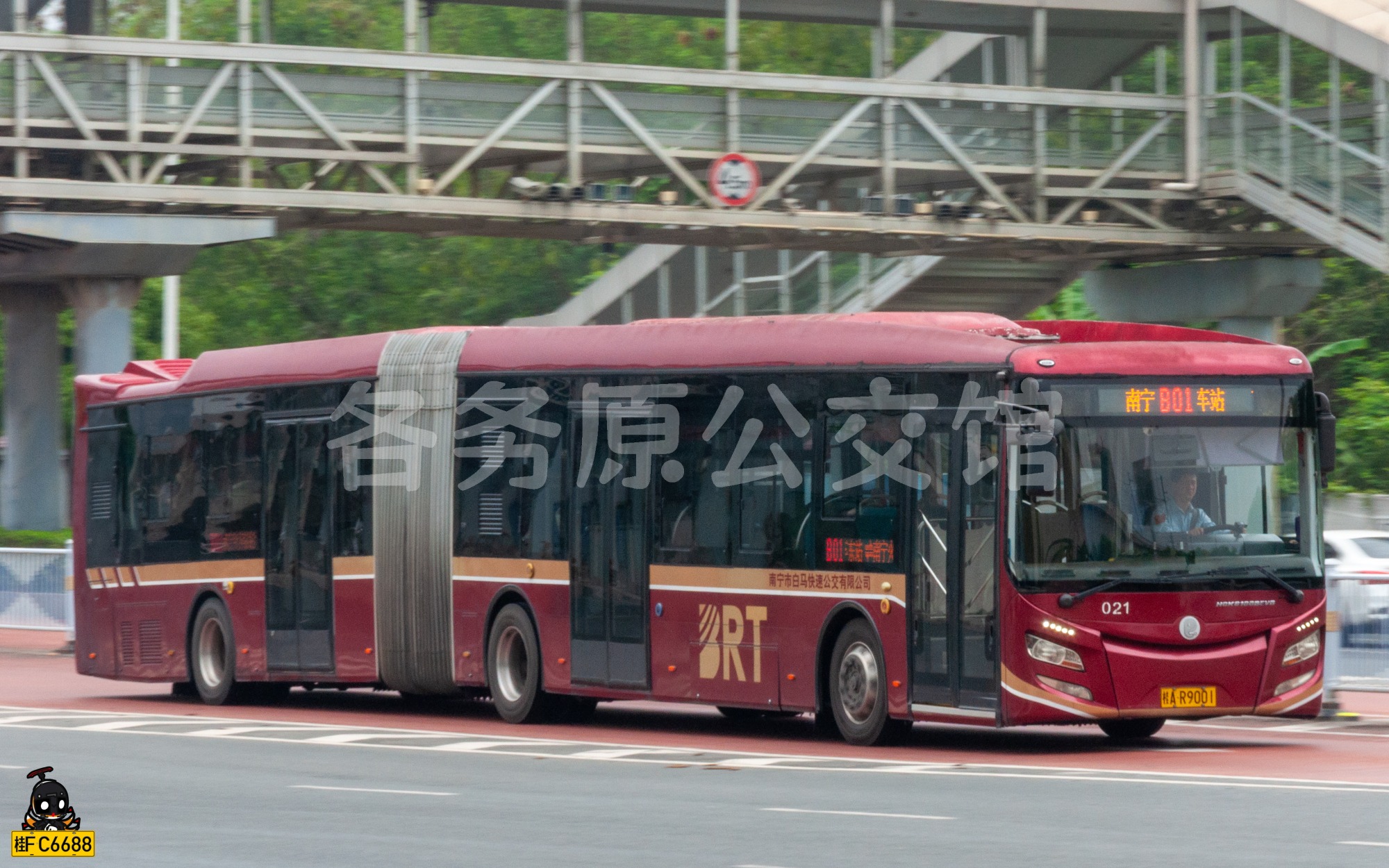 热门图片