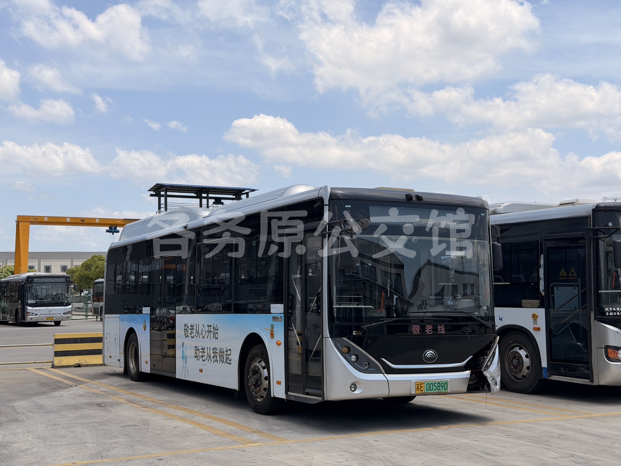 热门图片