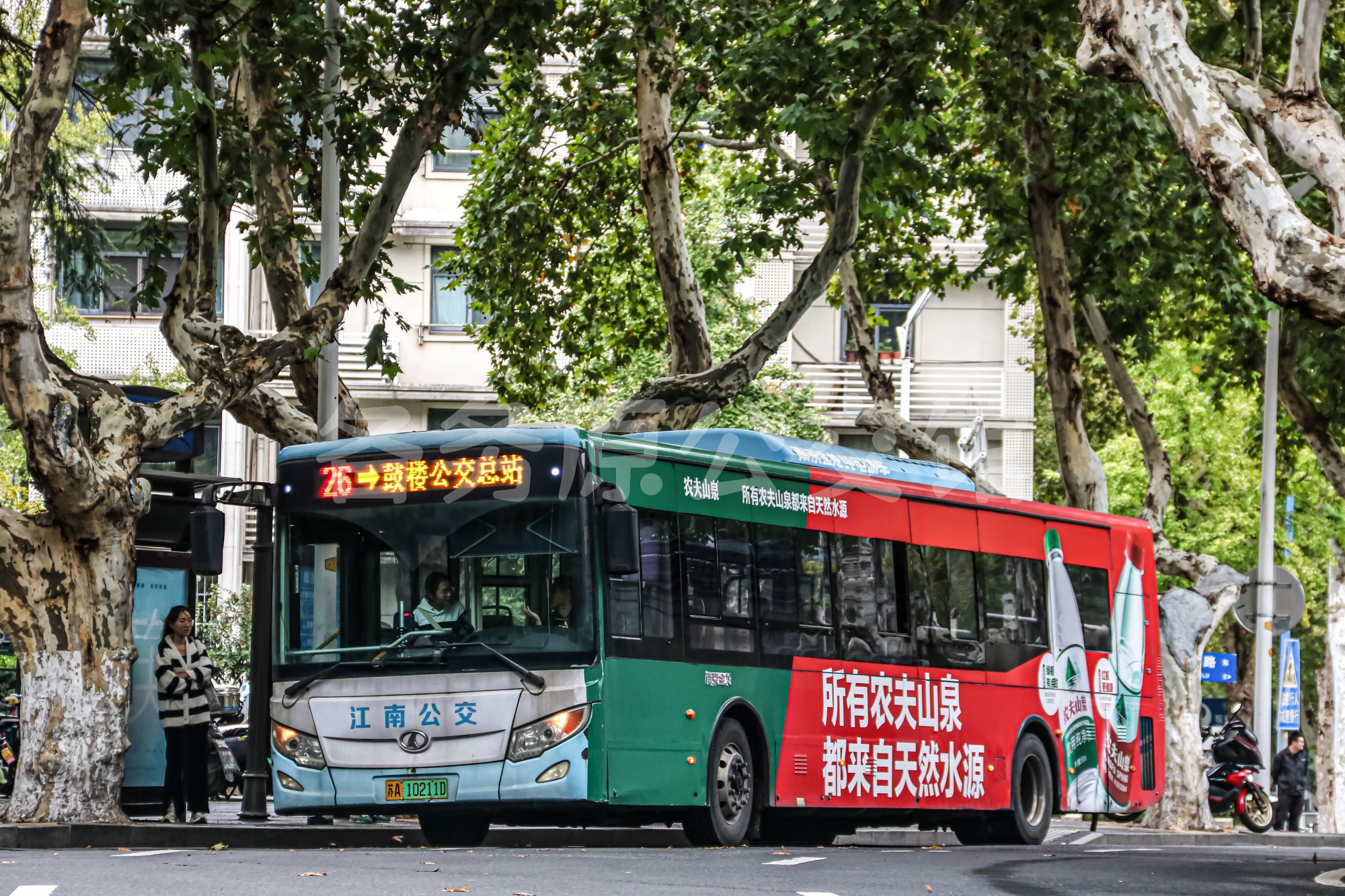 热门图片