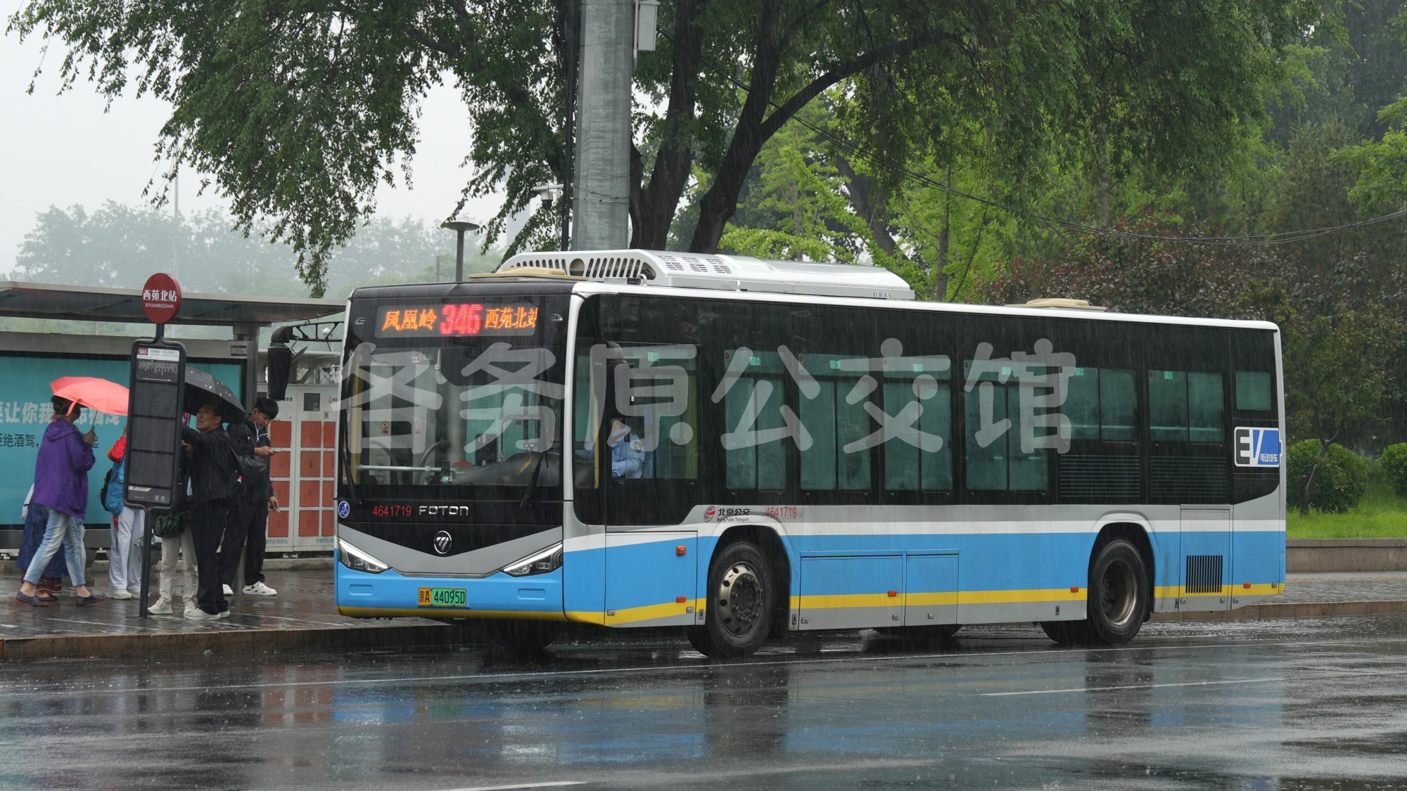 热门图片