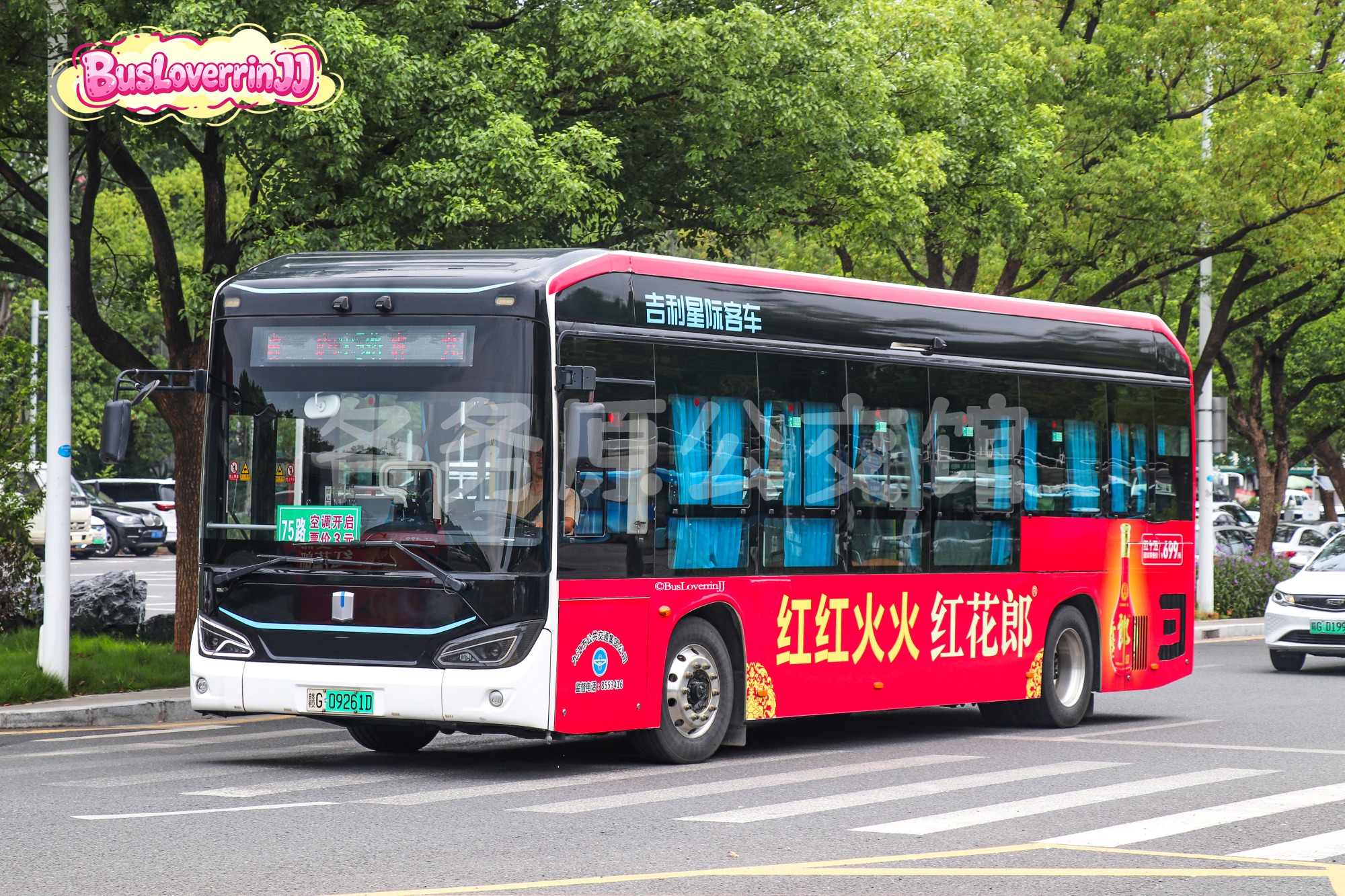 75路【G005】（红花郎-[红红火火 红花郎]）