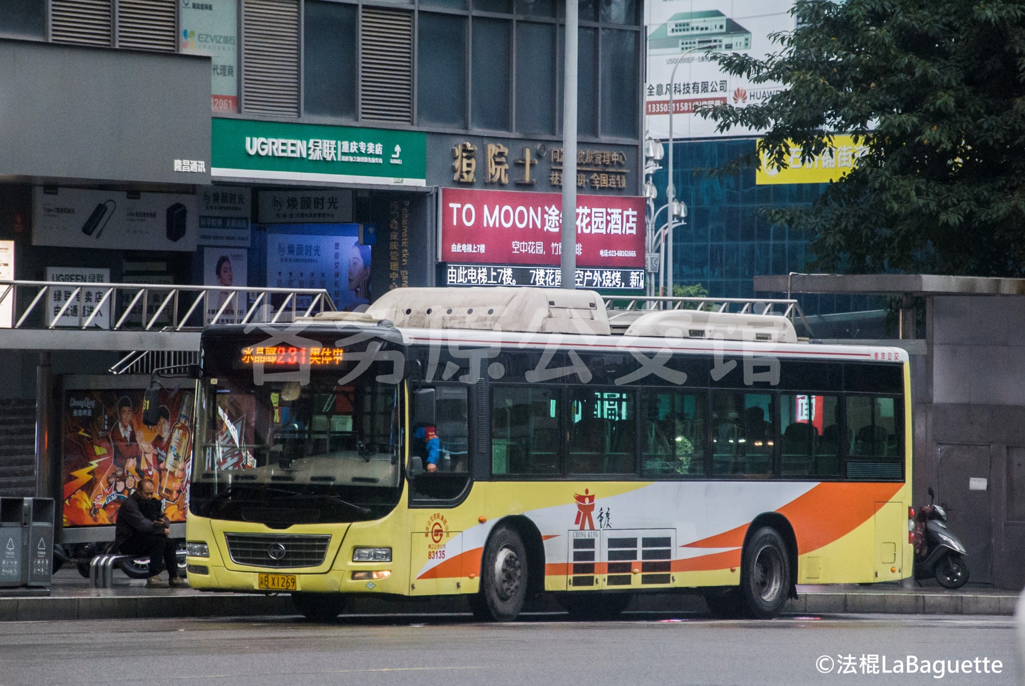 热门图片