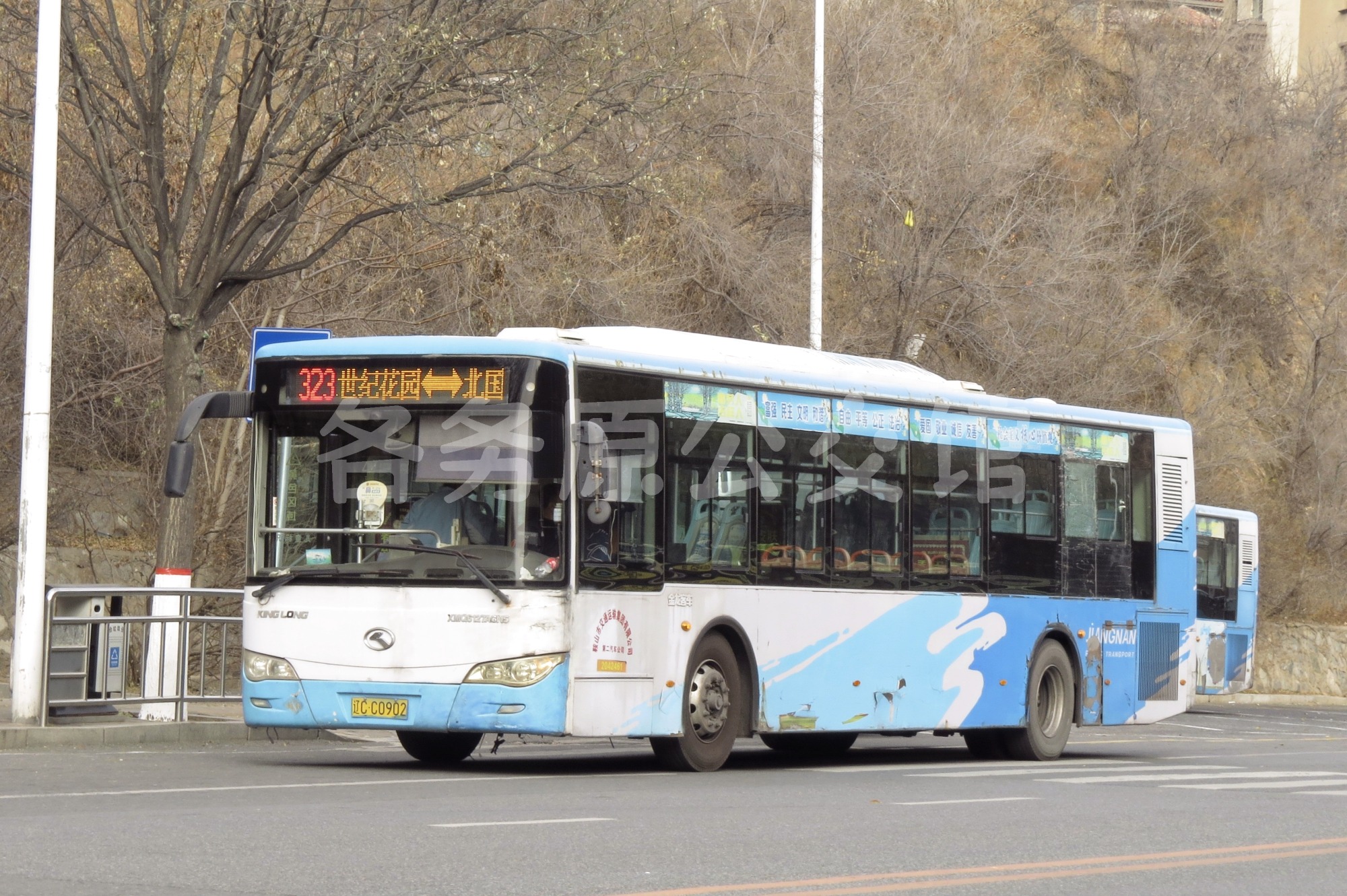 热门图片