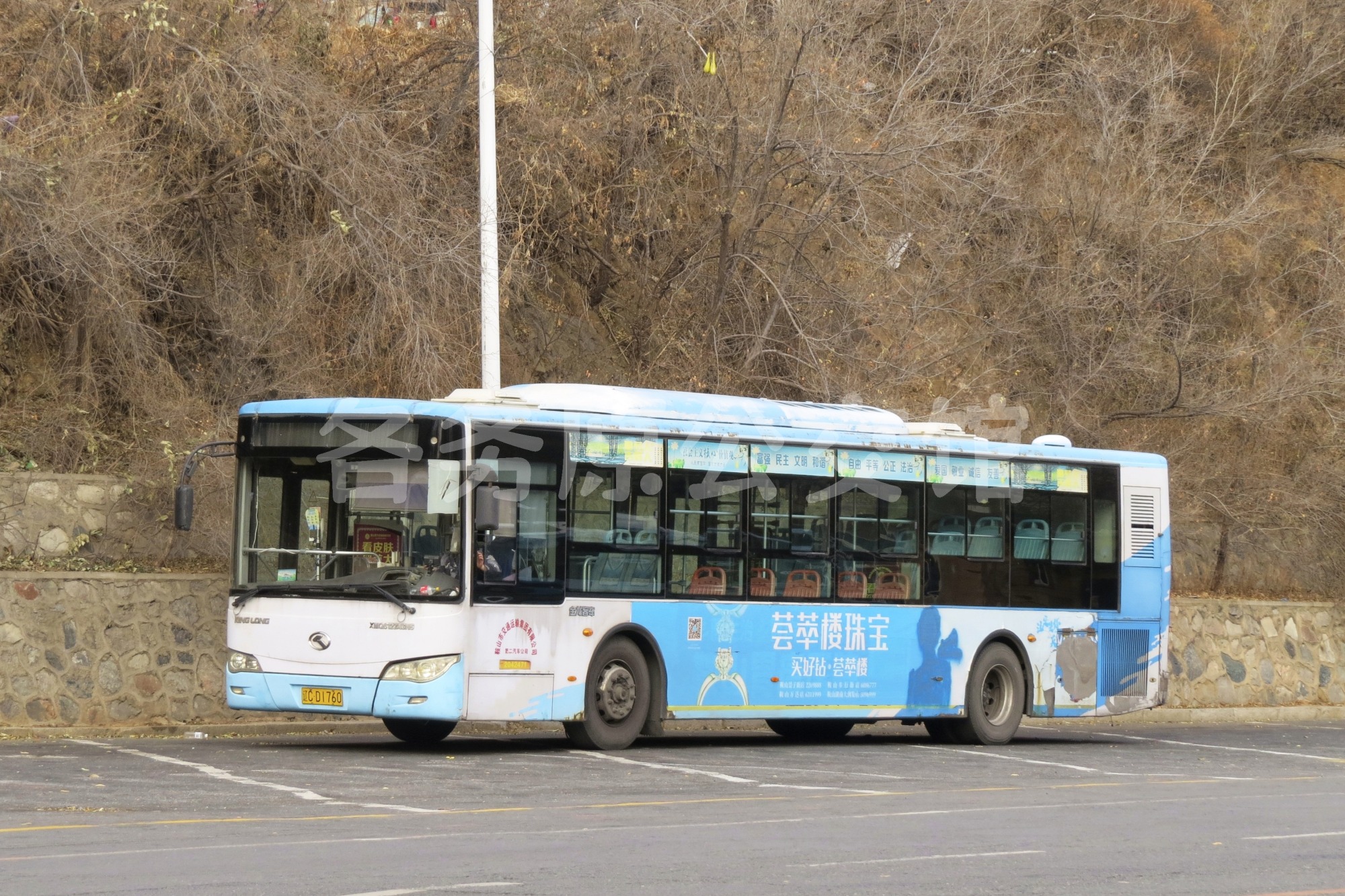 热门图片