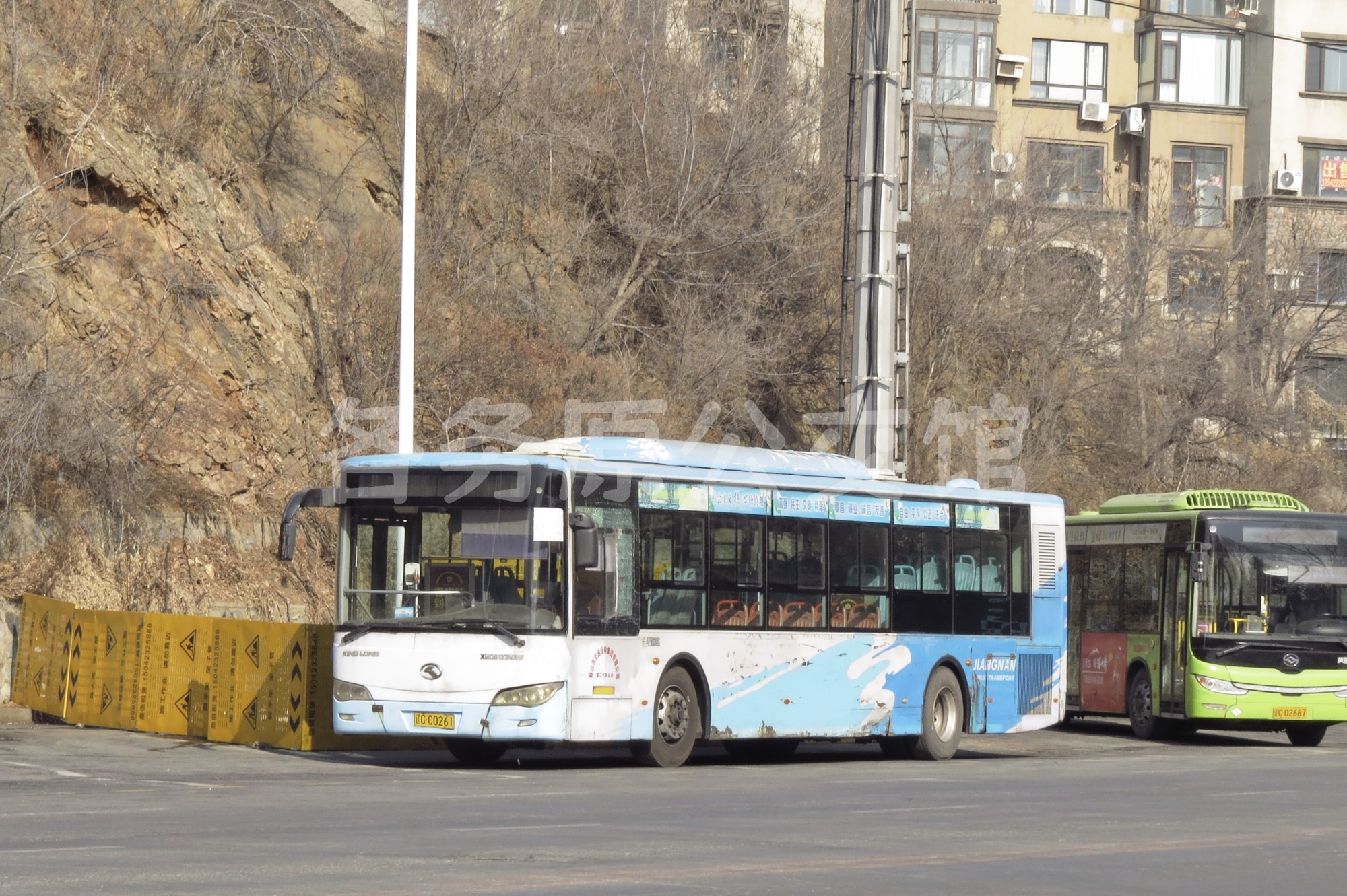 热门图片