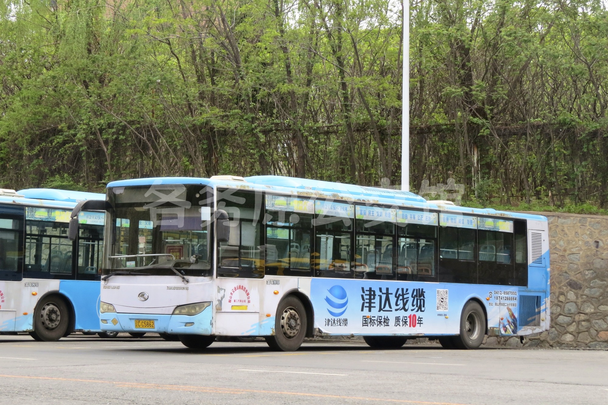 热门图片