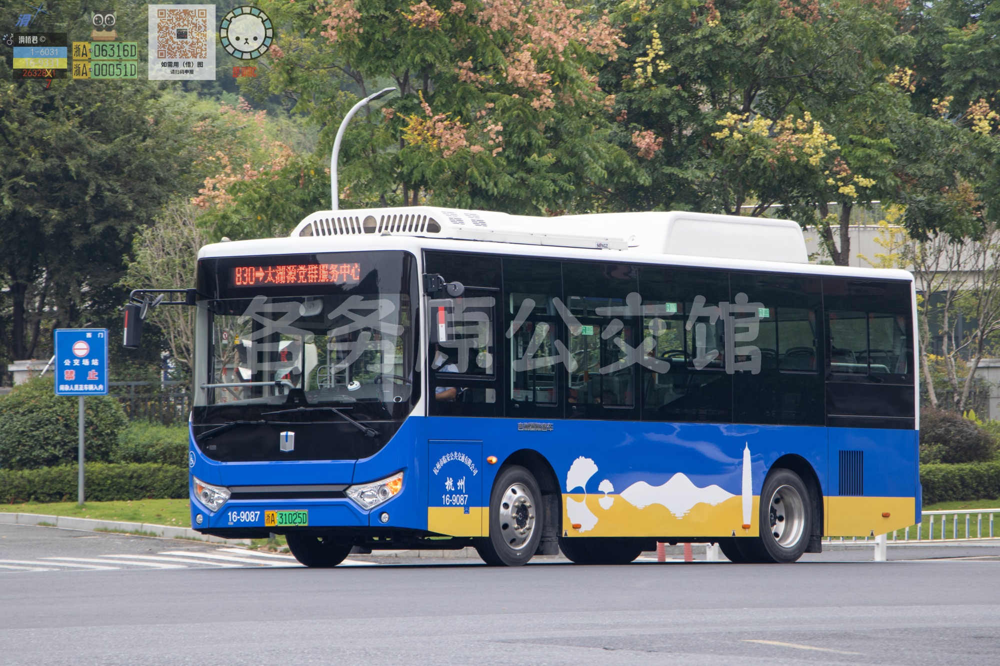 临安公交 - DNC6850BEVG4D