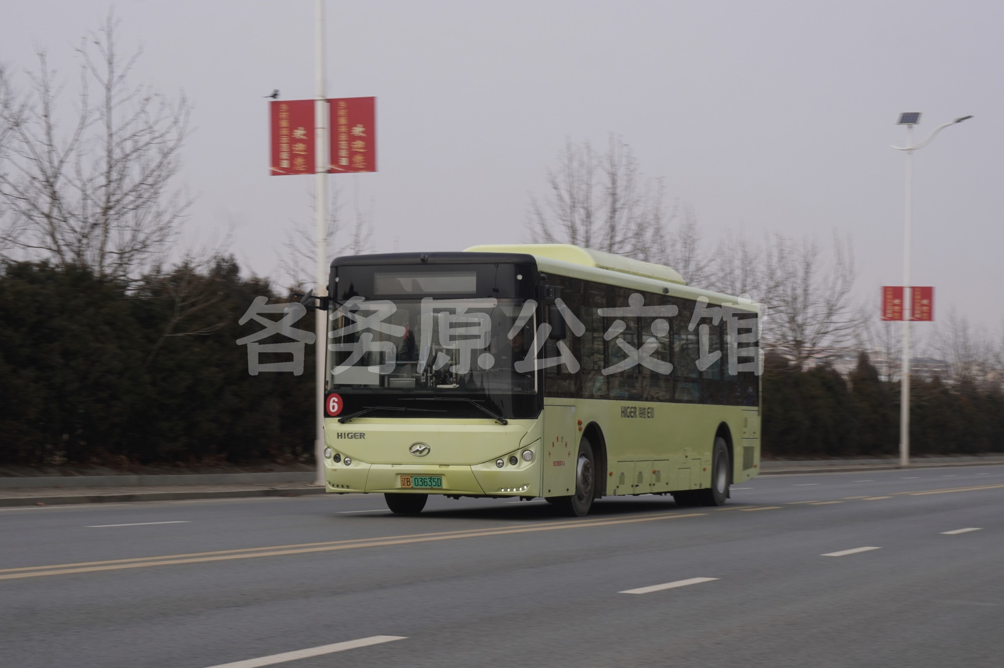 热门图片