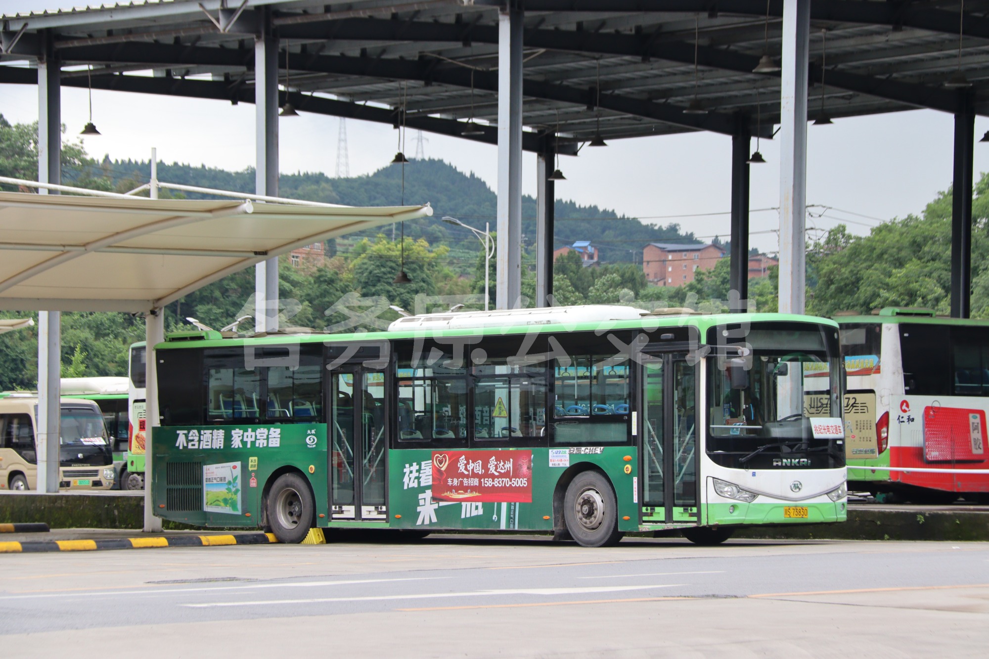 达州公交 - HFF6123G03CHEV-2