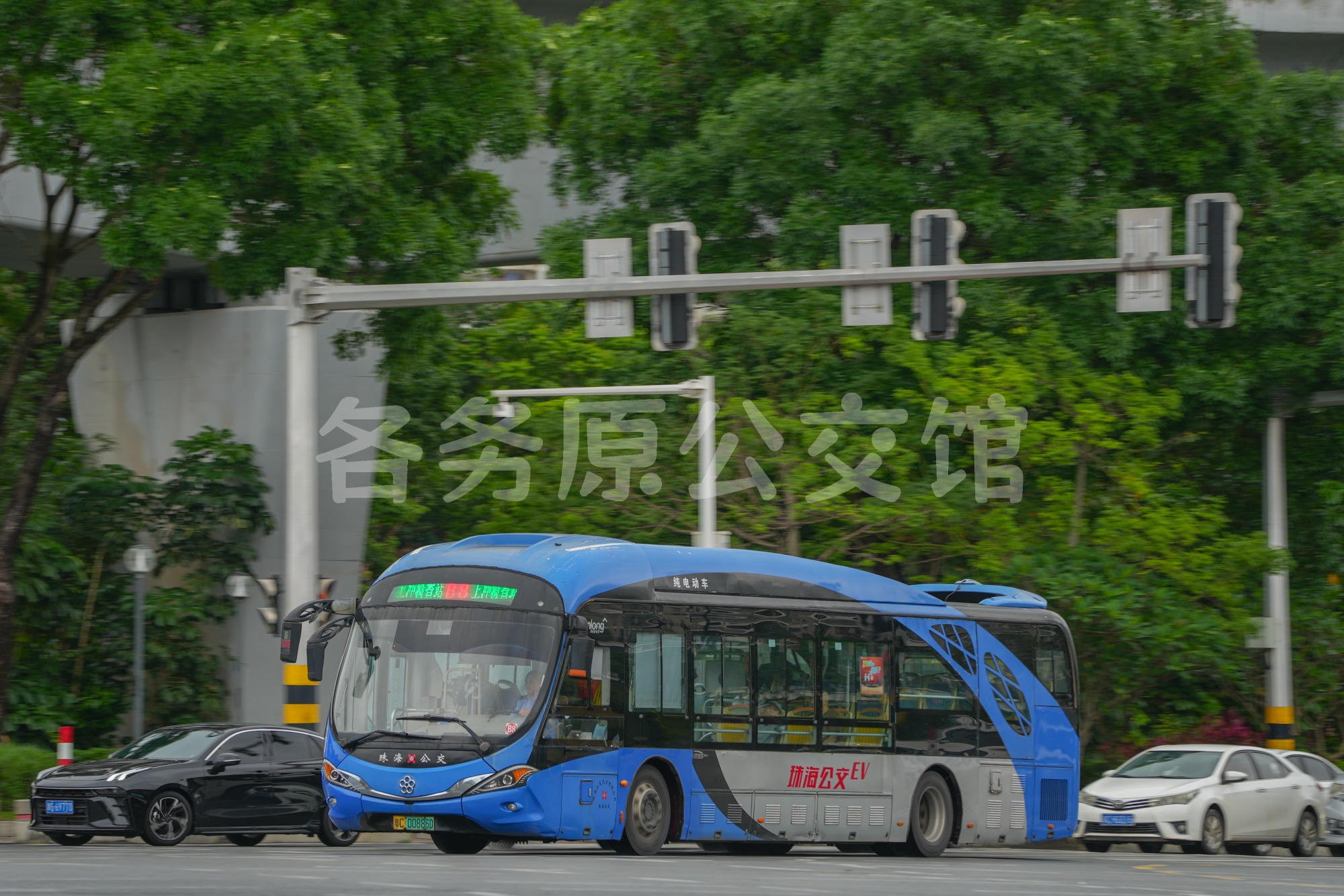 未命名图片